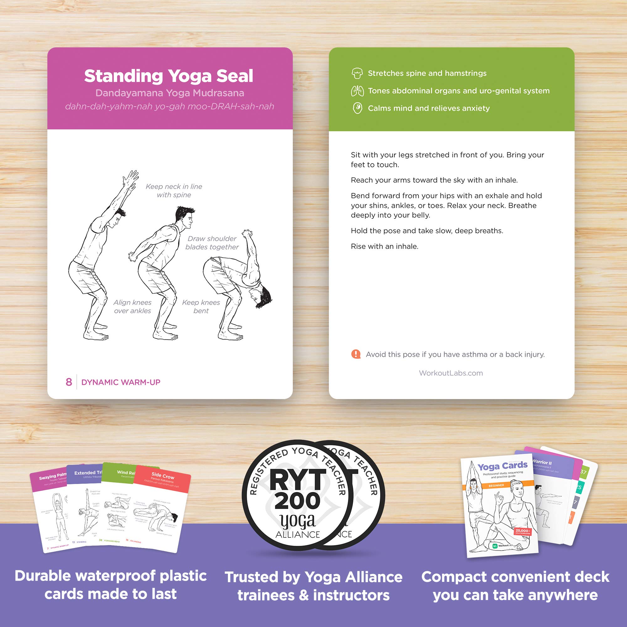 WorkoutLabs Yoga Cards Beginner Visual Study, Class Sequencing