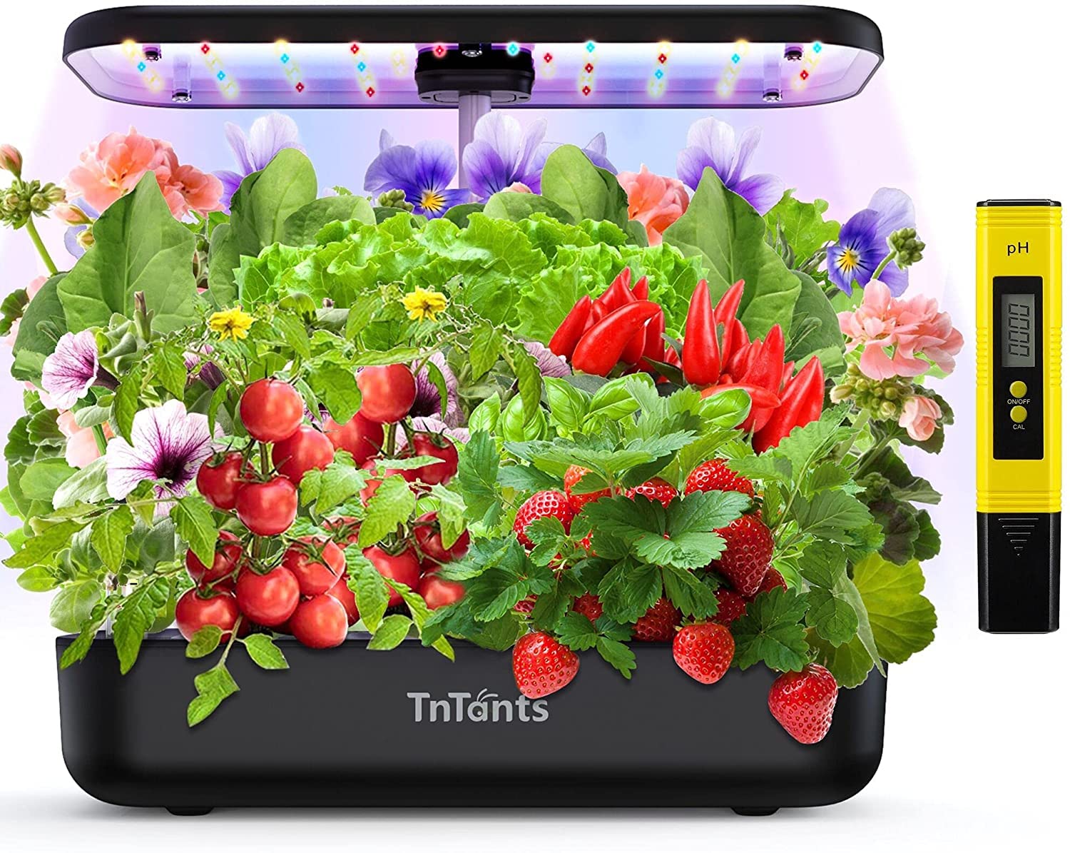 Buy TNTANTS Hydroponics Growing Gystem Kit,12 Pods Indoor Garden with