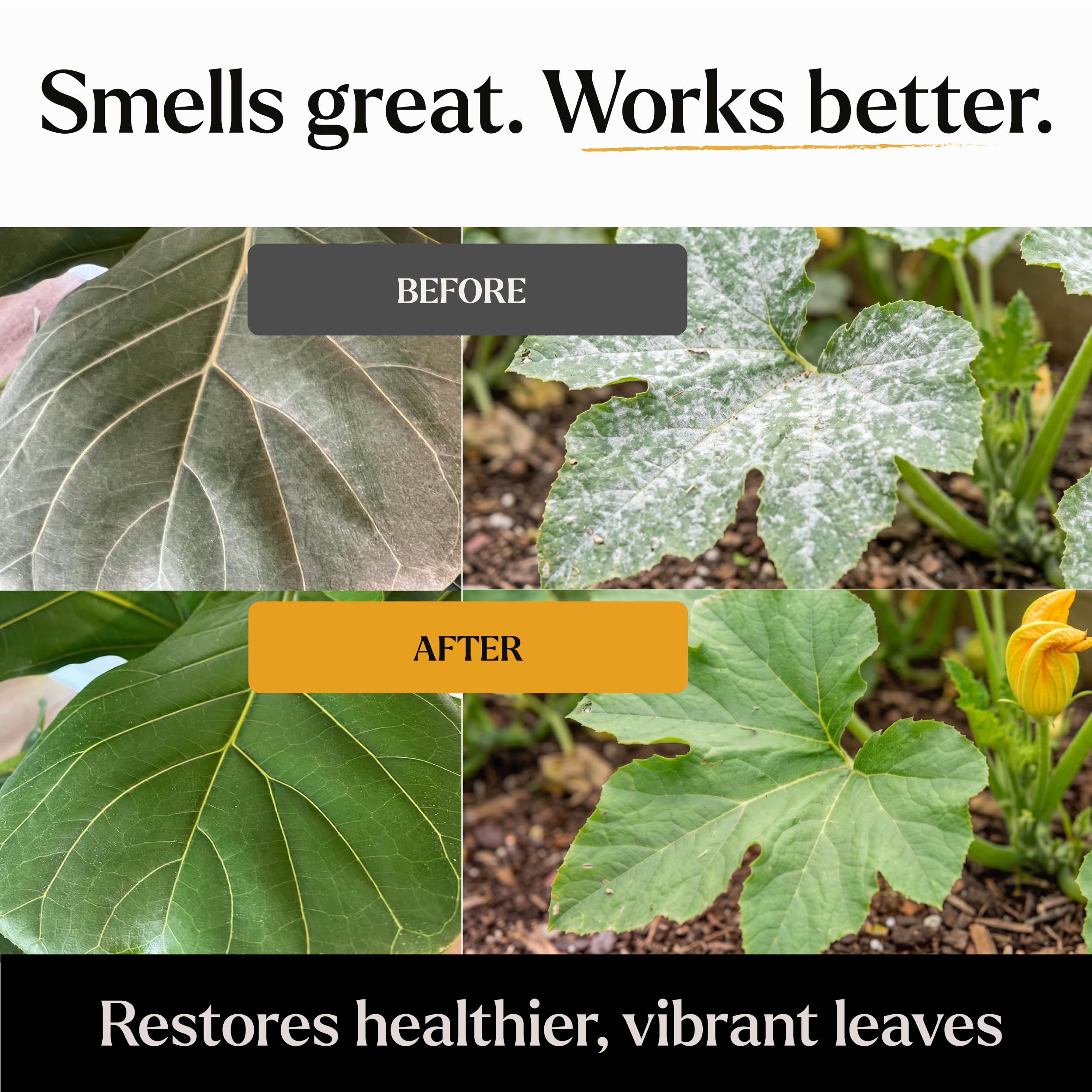 Big Leaf Energy (16 FL OZ) Organic Neem Oil Spray for Plants + Essential Oils : Ready to Use Plant Wash for Indoor Houseplants & Outdoor Gardens, Natural Leaf Shine
