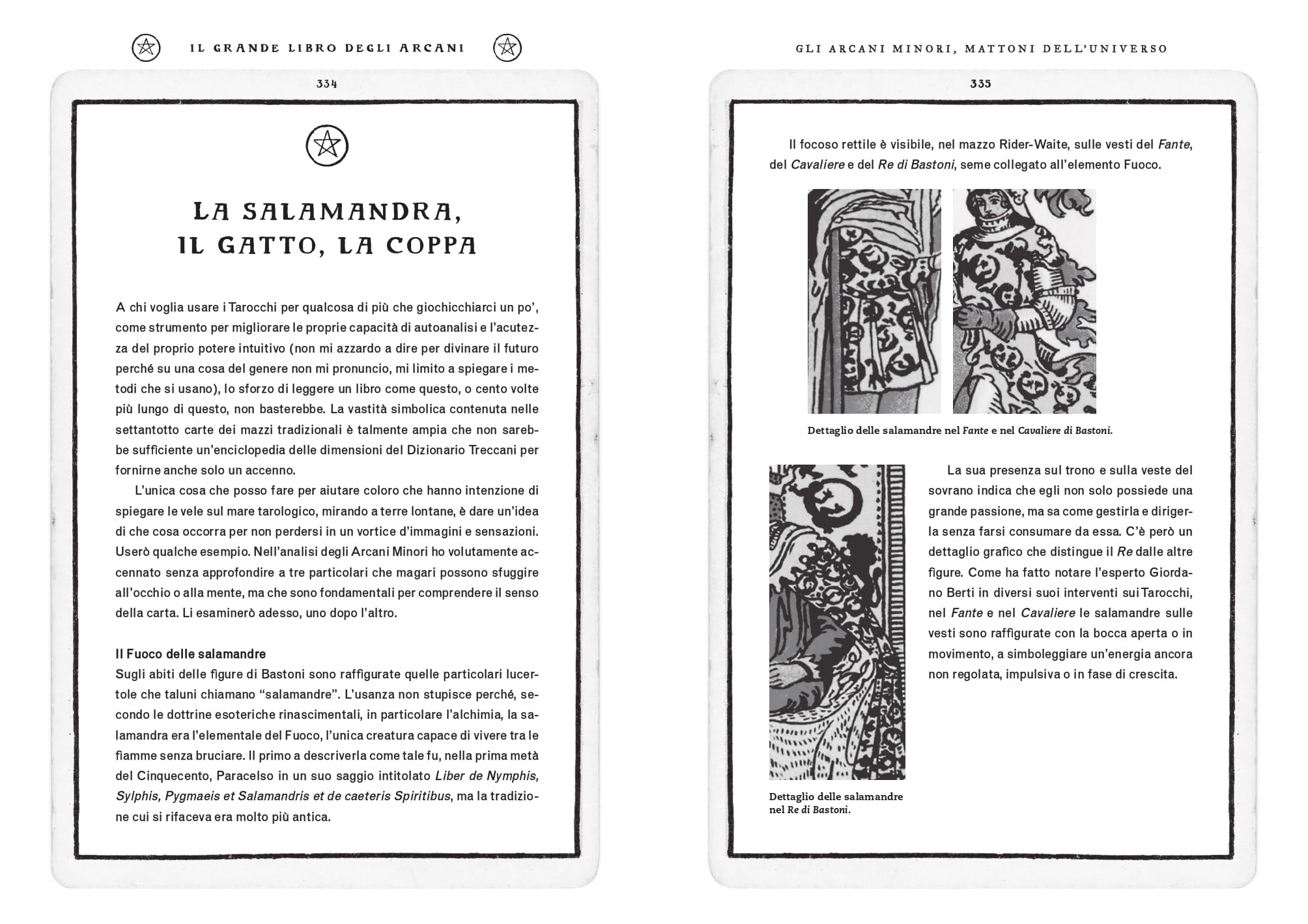 Il grande libro degli Arcani. I tarocchi: storia, simbologie, interpretazioni