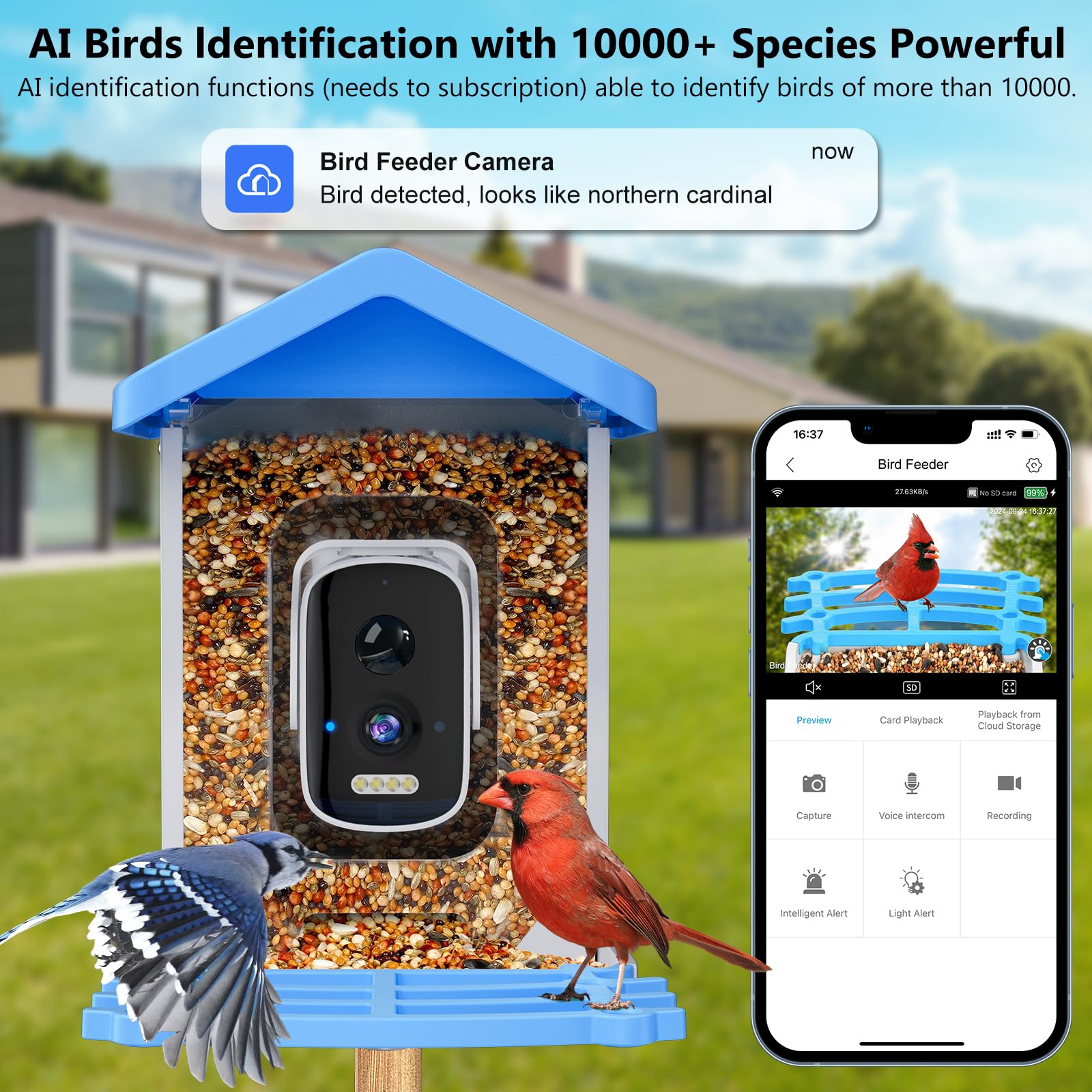 Smart Bird Feeder mit Kamera, AI Vogelarten Identifizierung Solarbetriebenes Panel, 2.5k HD Video Vogelhaus mit Kamera für Außengarten, Ideale Geschenke für Liebhaber, Blau