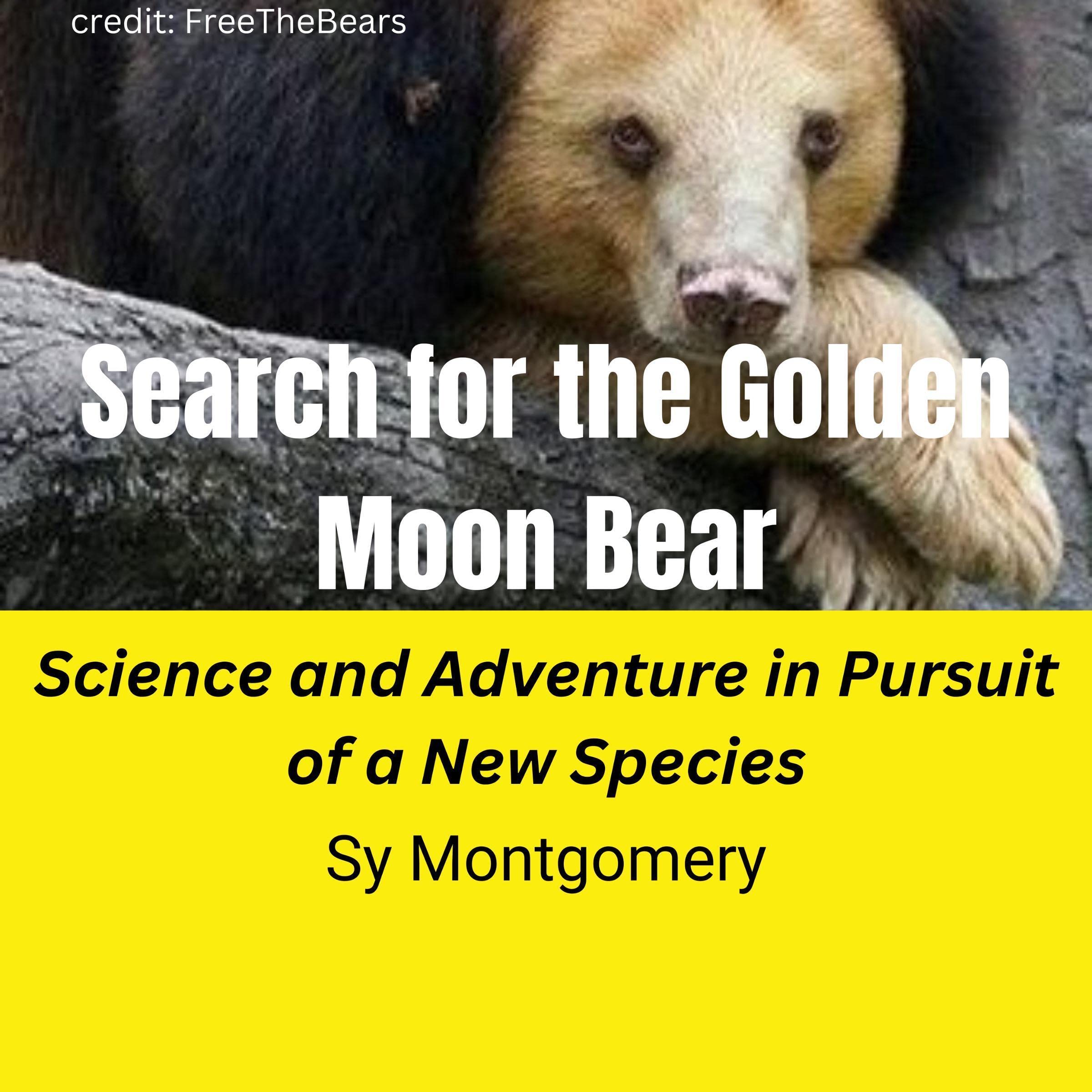 Search for the Golden Moon Bear