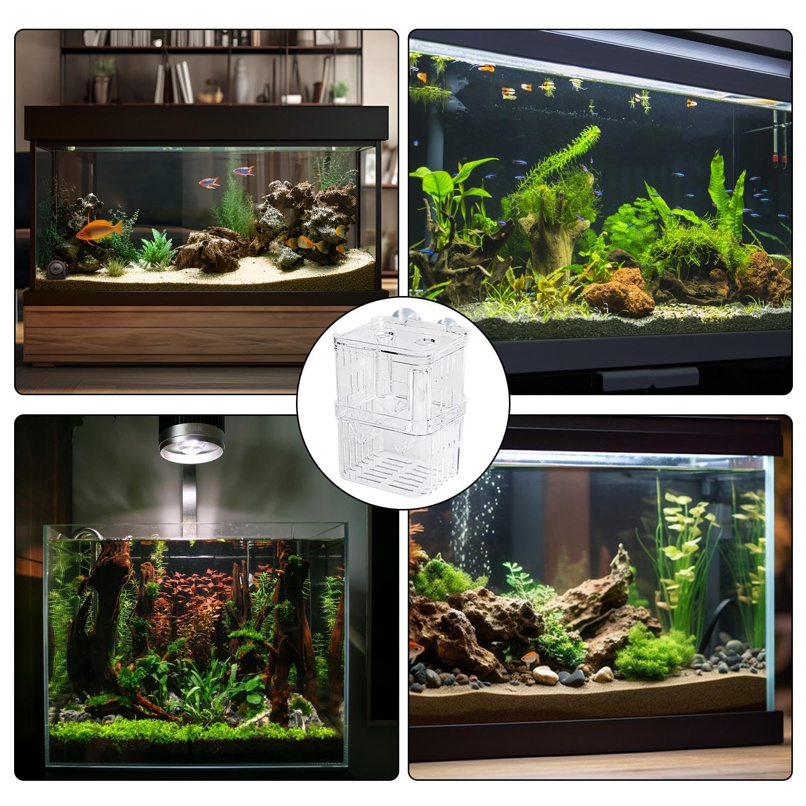 Divisore Acquario Acrilico 20x30cm - Con Ventose, Per Isolare Pesci, Facile Da Installare