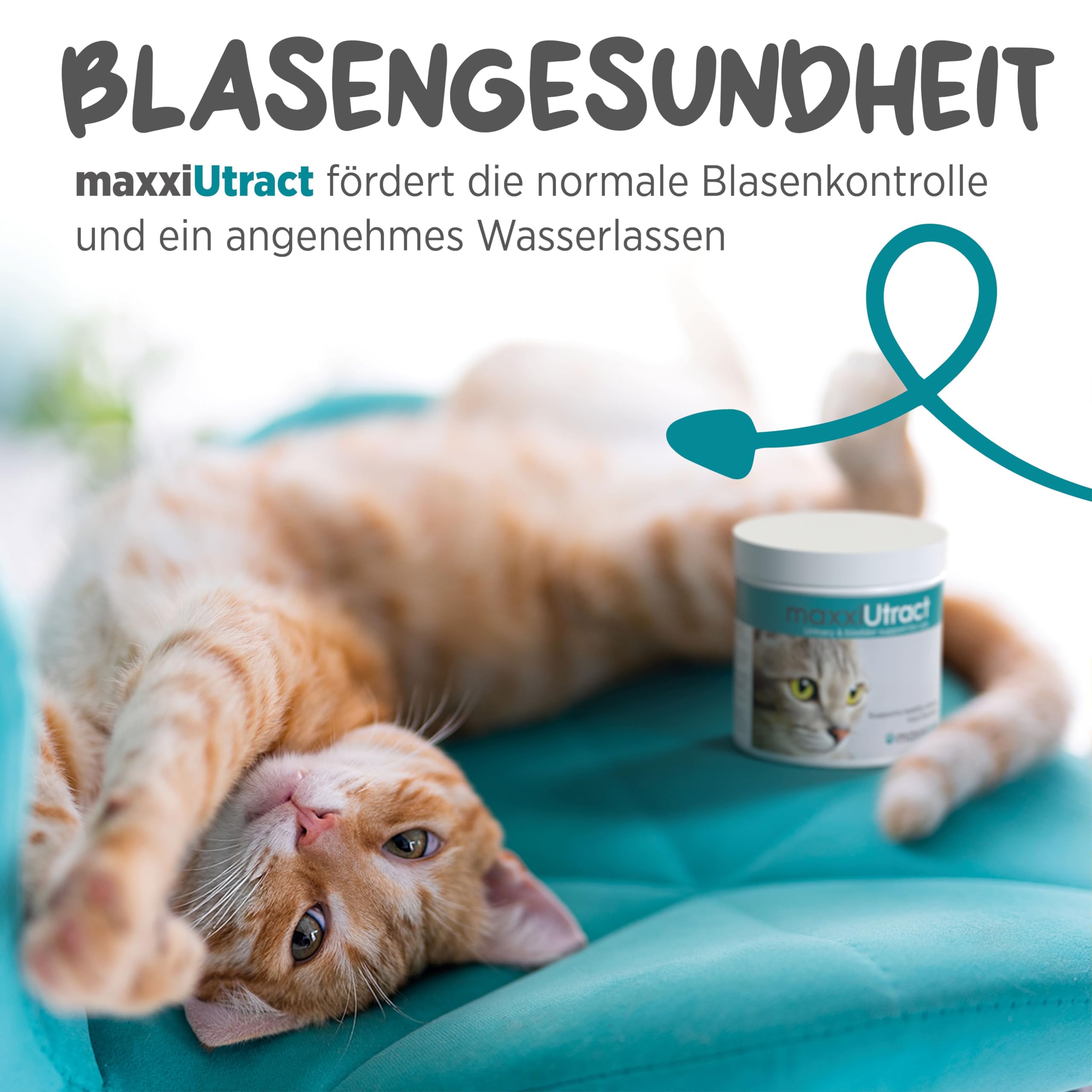 maxxipaws maxxiUtract Harnwegs- und Blasenunterstützung - Nahrungsergänzungsmittel in Pulverform für Katzen, 90g