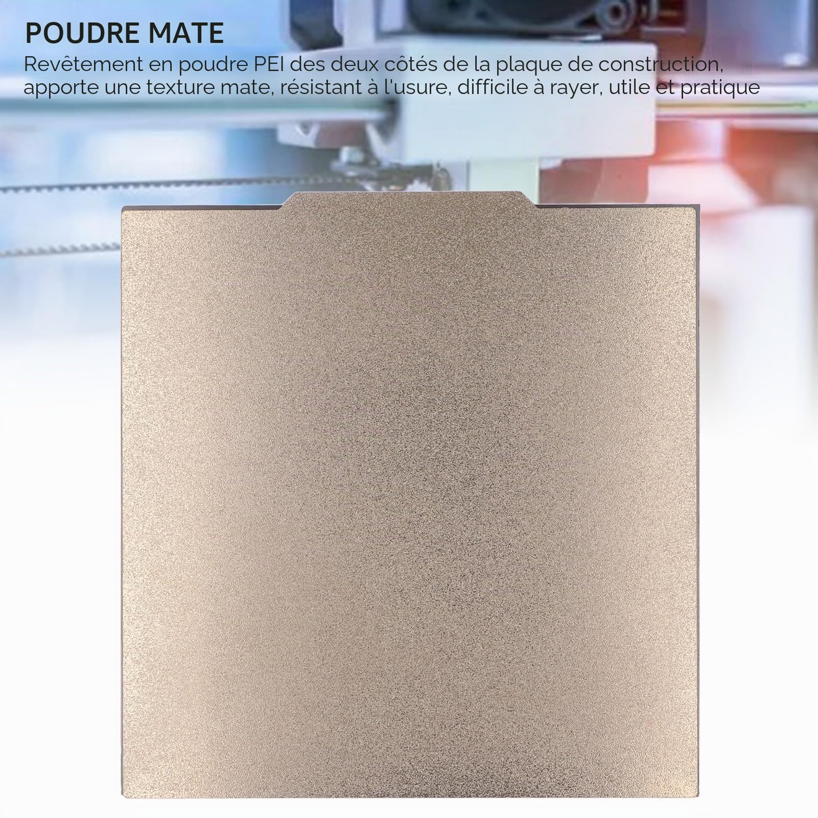 Plaque de Construction PEI en Acier à Ressort avec Texture Mate 332x340mm pour Imprimante 3D Raise3D Pro2 PRO 2 PLUS, Base Magnétique Double Face