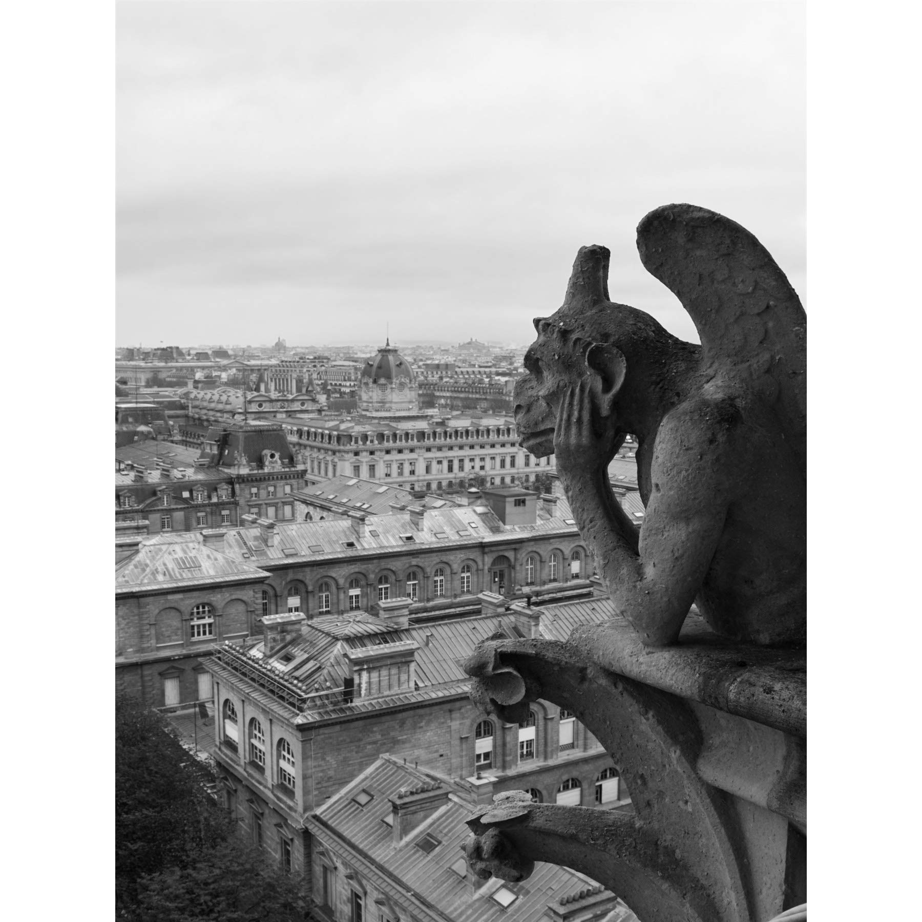 Wee Blue Coo Photo Cityscape Paris France Grotesque Gargoyle Canvas Print
