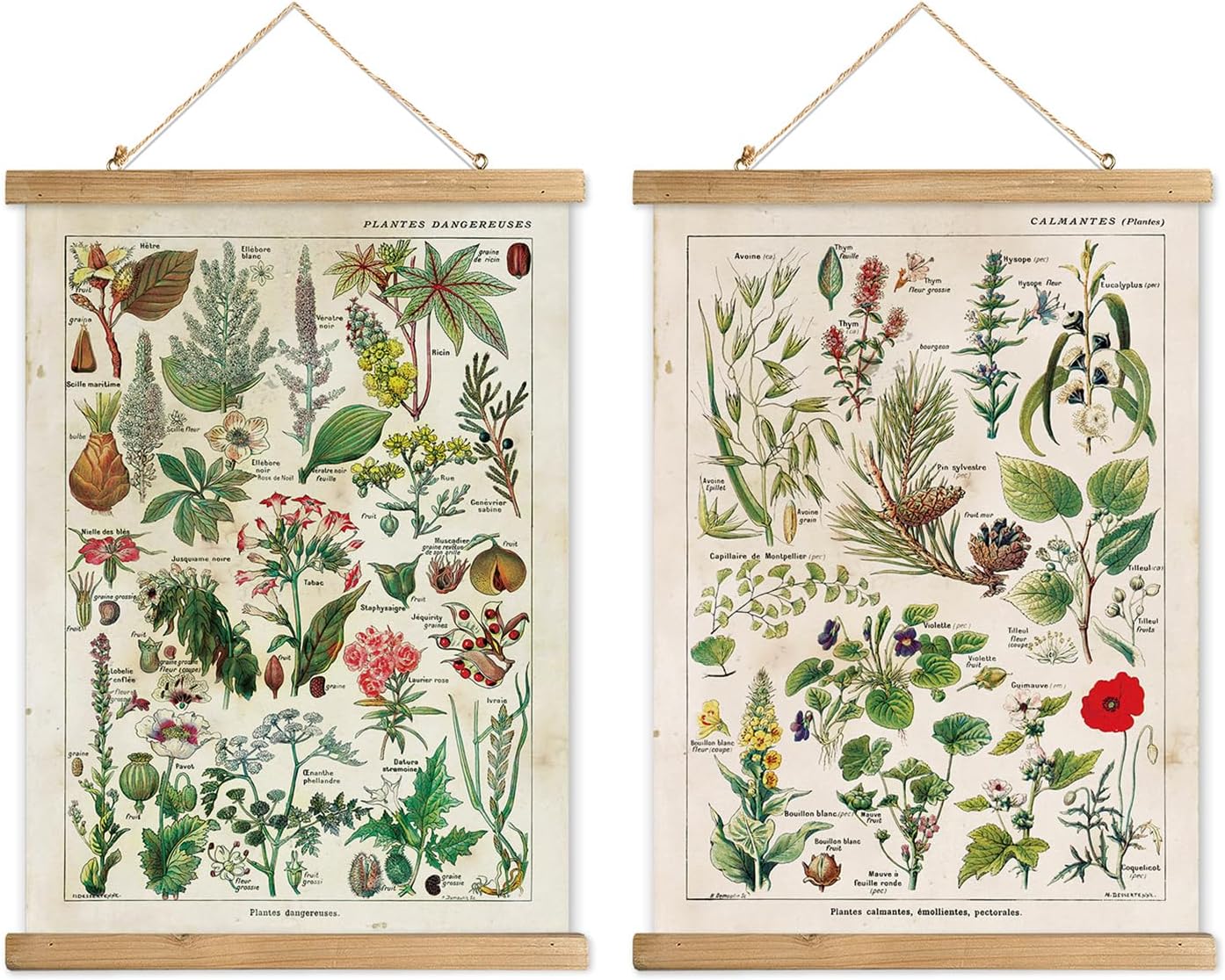 XIAOAIKA 2 Pack Vintage Plants Poster Hanger Frame, Retro Style Wall Decor Art Painting, Patterns are Printed on Linen Without Fading, Scrolls Made of Fir are Durable (16 x 23 inch)