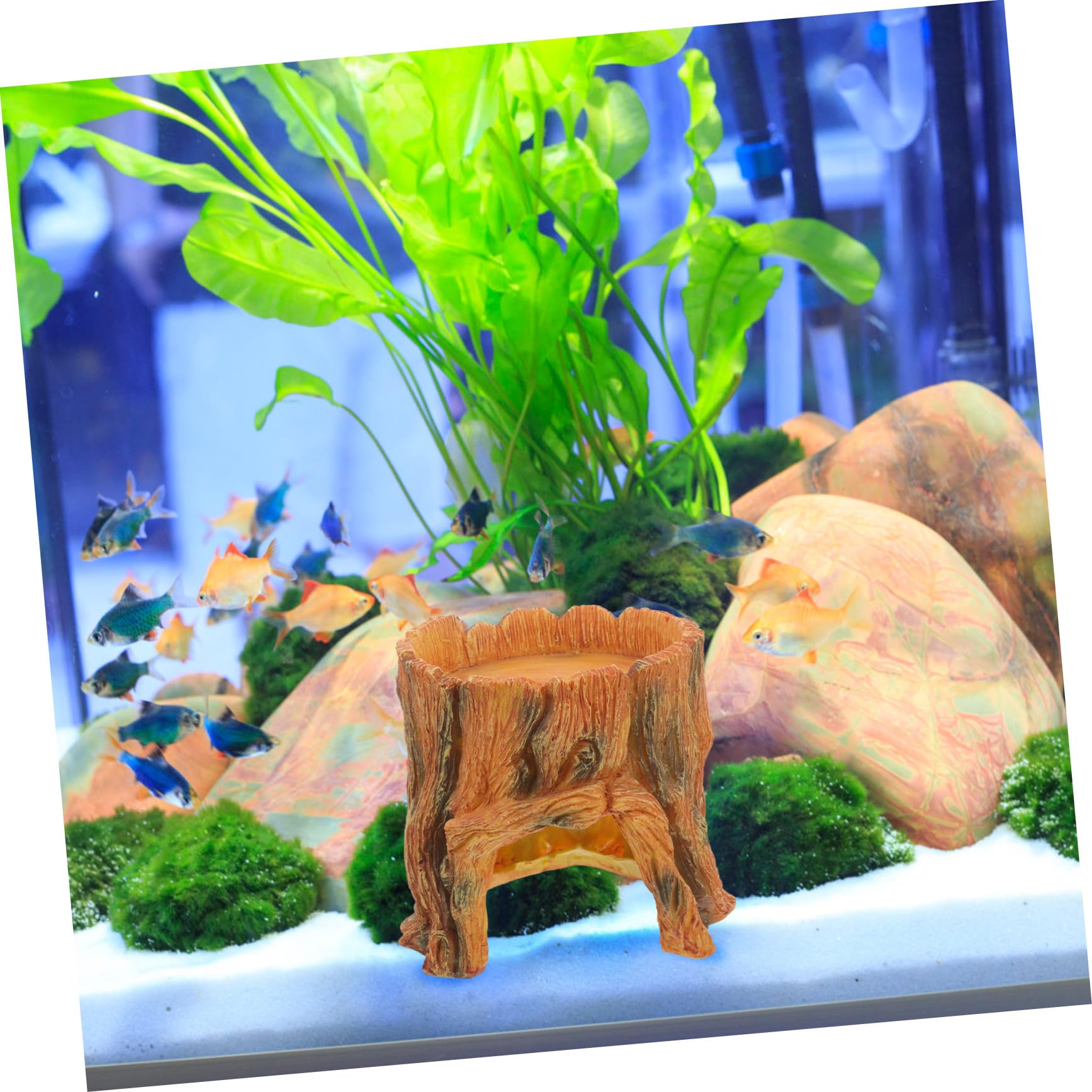 Didiseaon Decorazione Per Acquario Finta Rifugio Per Pesci e Rettili Stump Design Naturale Accessorio Estetico Per Serbatoi e Terrari Facile Da Posizionare e Mantenere