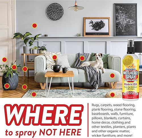 Miniatura 3 de Bodhi Dog Spray de entrenamiento para ir al baño  Ayuda de entrenamiento para ir al baño para perros y cachorros  Entrenamiento para cachorros para