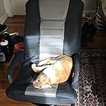 Customer Image, click to open customer review