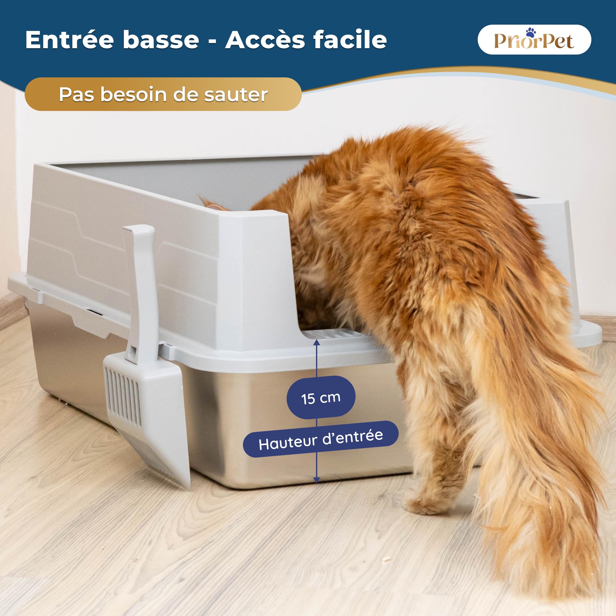 Bac litiere pour Chat INOX XXL Grand – Bac à litière pour Grands Chats & 2 Chats – Litiere Chat XXL Maine Coon – Grande litiere, Bord Haut, Anti-Fuite, Anti-Odeur – avec Pelle – 71×52×30 cm