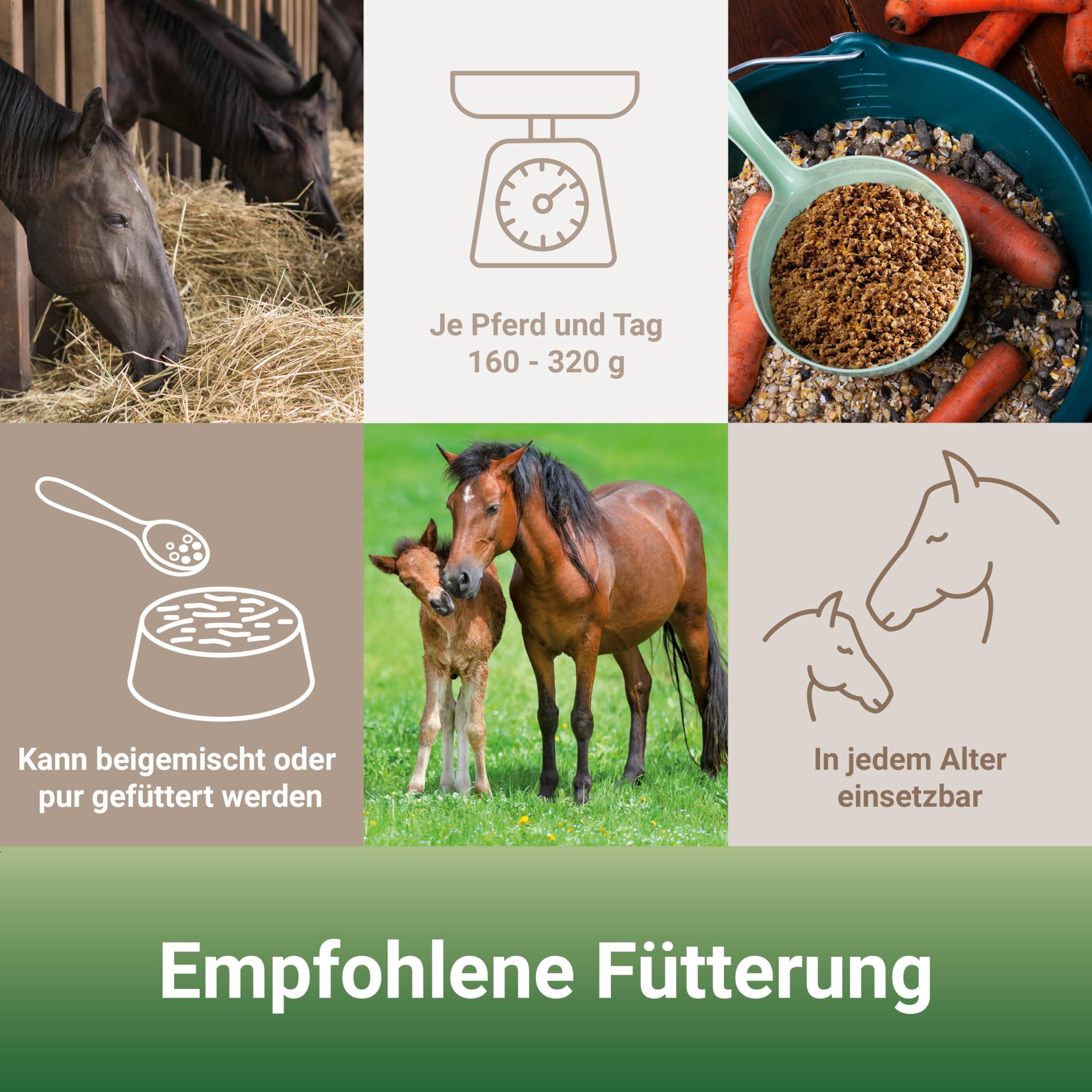 PANTO Pferdefutter Wisan-Lein 25 kg – Kraftfutter mit Omega-3 & Leinsaat | Verdauungsförderndes Kraftfutter mit Omega-3-Fettsäuren & Leinsaat – funktionales Futter für die Muskulatur