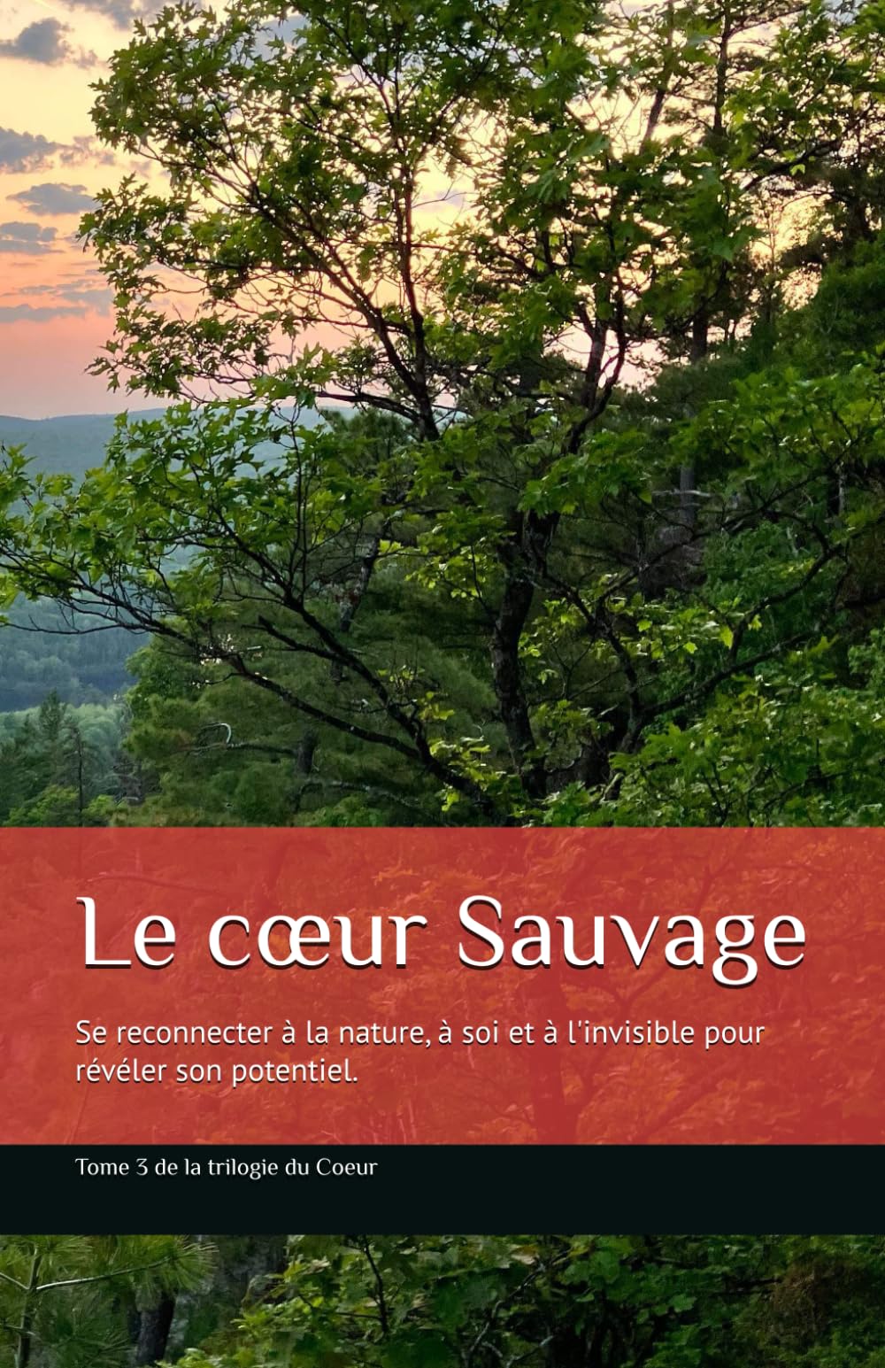Le cœur Sauvage: Se reconnecter à la nature, à soi et à son instinct pour révéler son potentiel. (La Trilogie du Cœur)