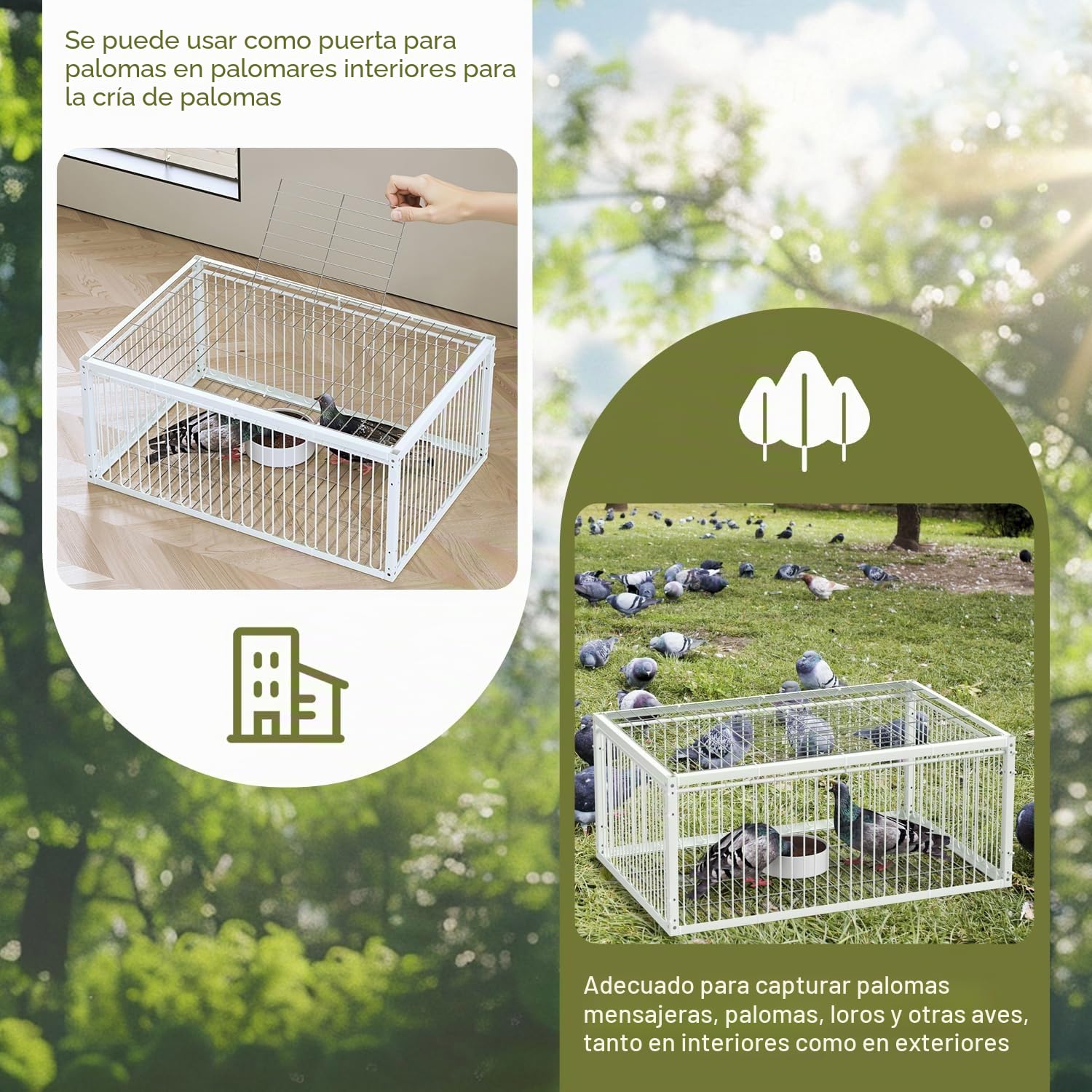 Jaula de trampa para palomas con entrada unidireccional (4 puertas), jaula de captura de pájaros, jaula de trampa automática con diseño a prueba de escape, jaula para pájaros para palomas de