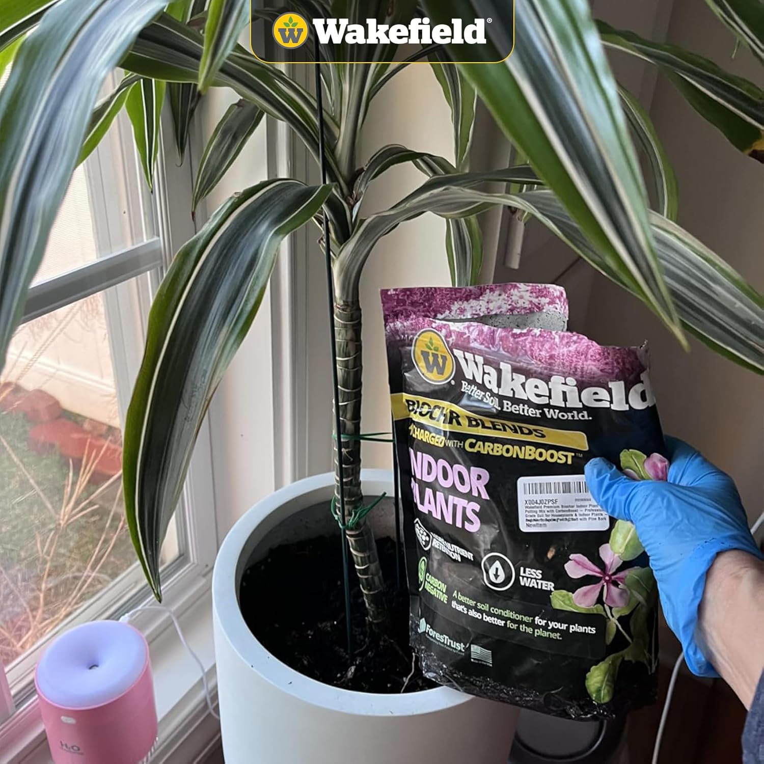 Wakefield Biochar Potting Mix & Indoor Plant Soil - 2 Quart