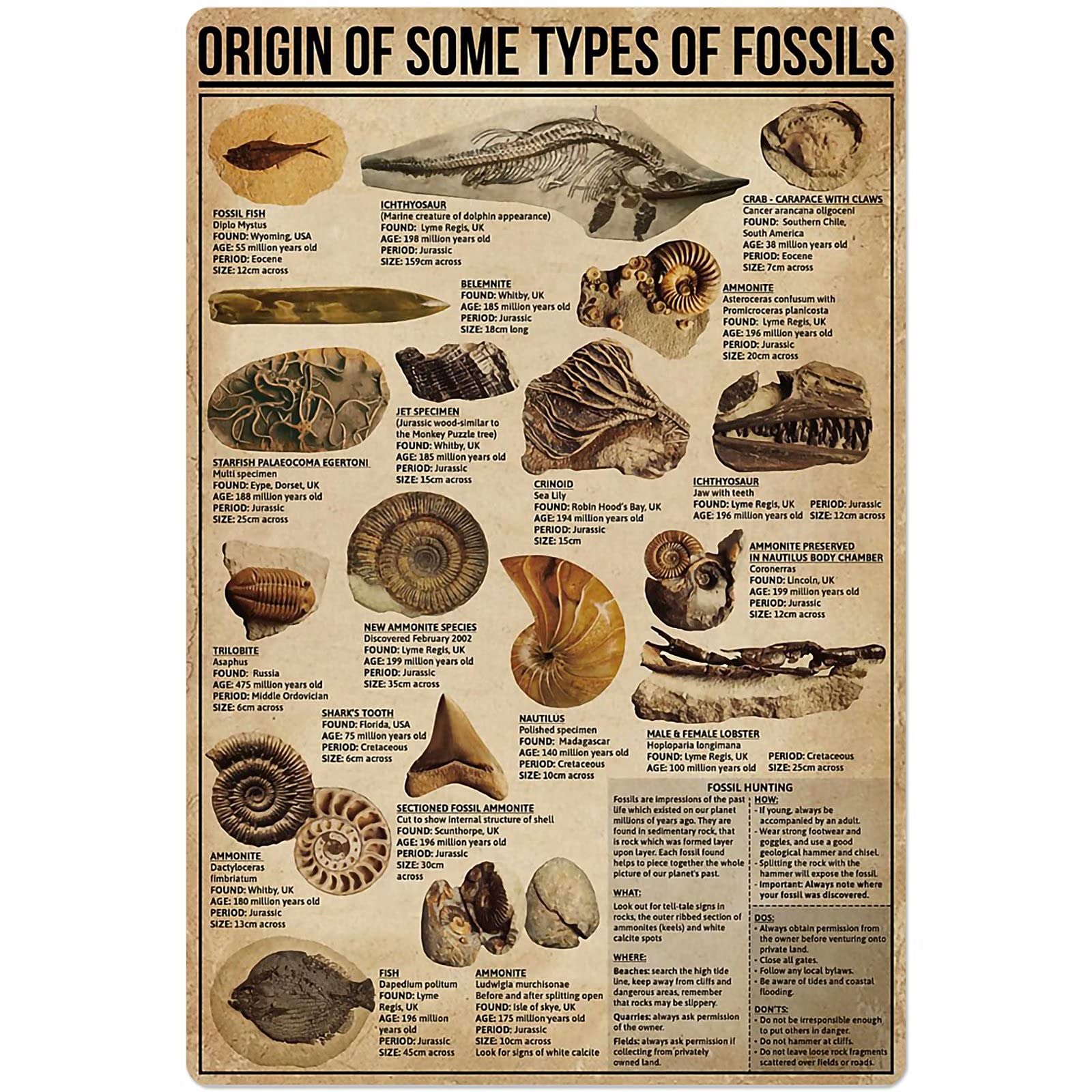 C-04 Fossil Origin Knowledge Metal Signs Origin Of Some Types Of Fossils Posters Wall Decor Popular Science Education Home Decor Room Decor Vintage Printing Plaque 12X17 Inches
