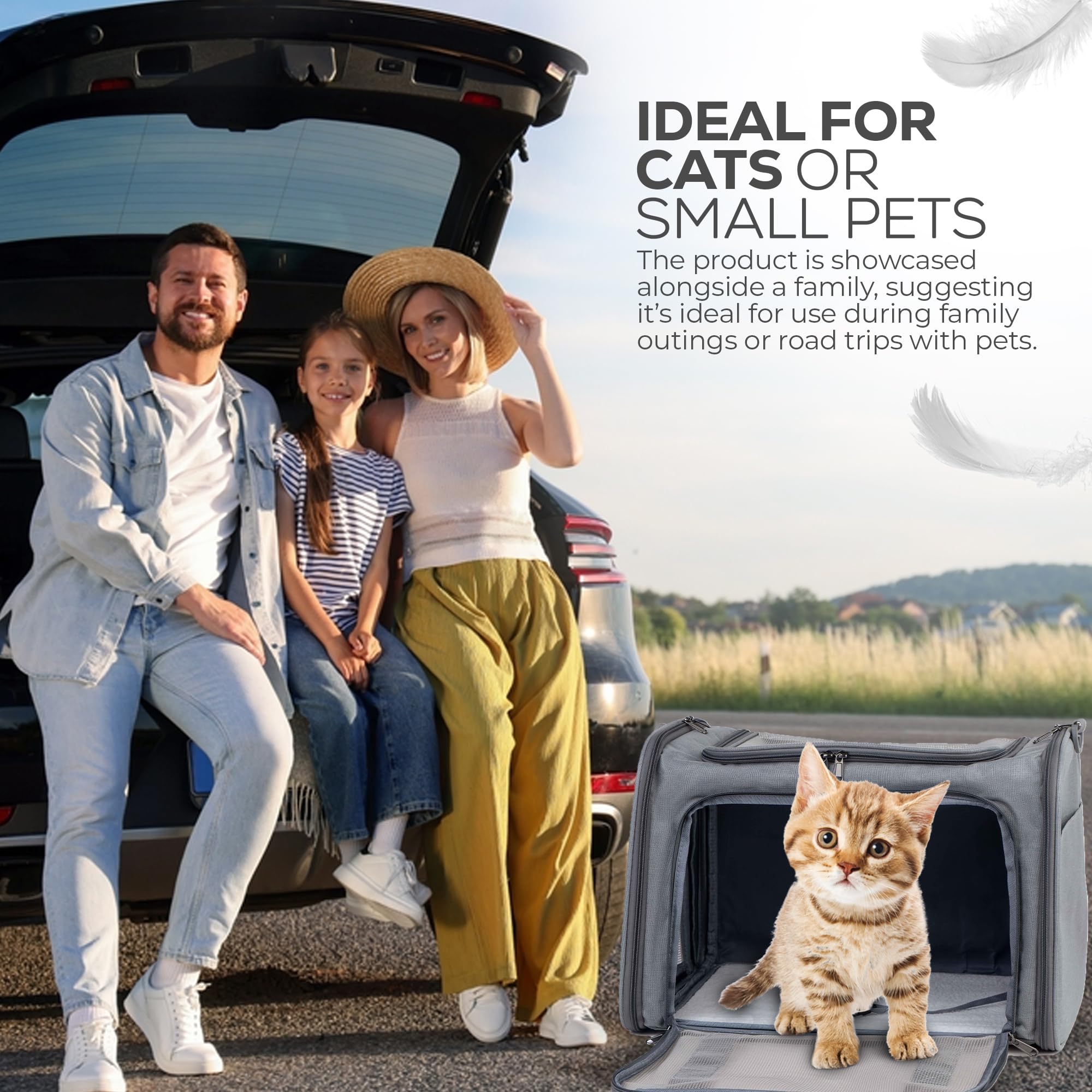 Bolsa de transporte para mascotas, plegable, de lados suaves, con correa para el hombro y alfombrilla extraíble multicapa, cesta duradera para gatos aprobada por aerolíneas (gris, grande)