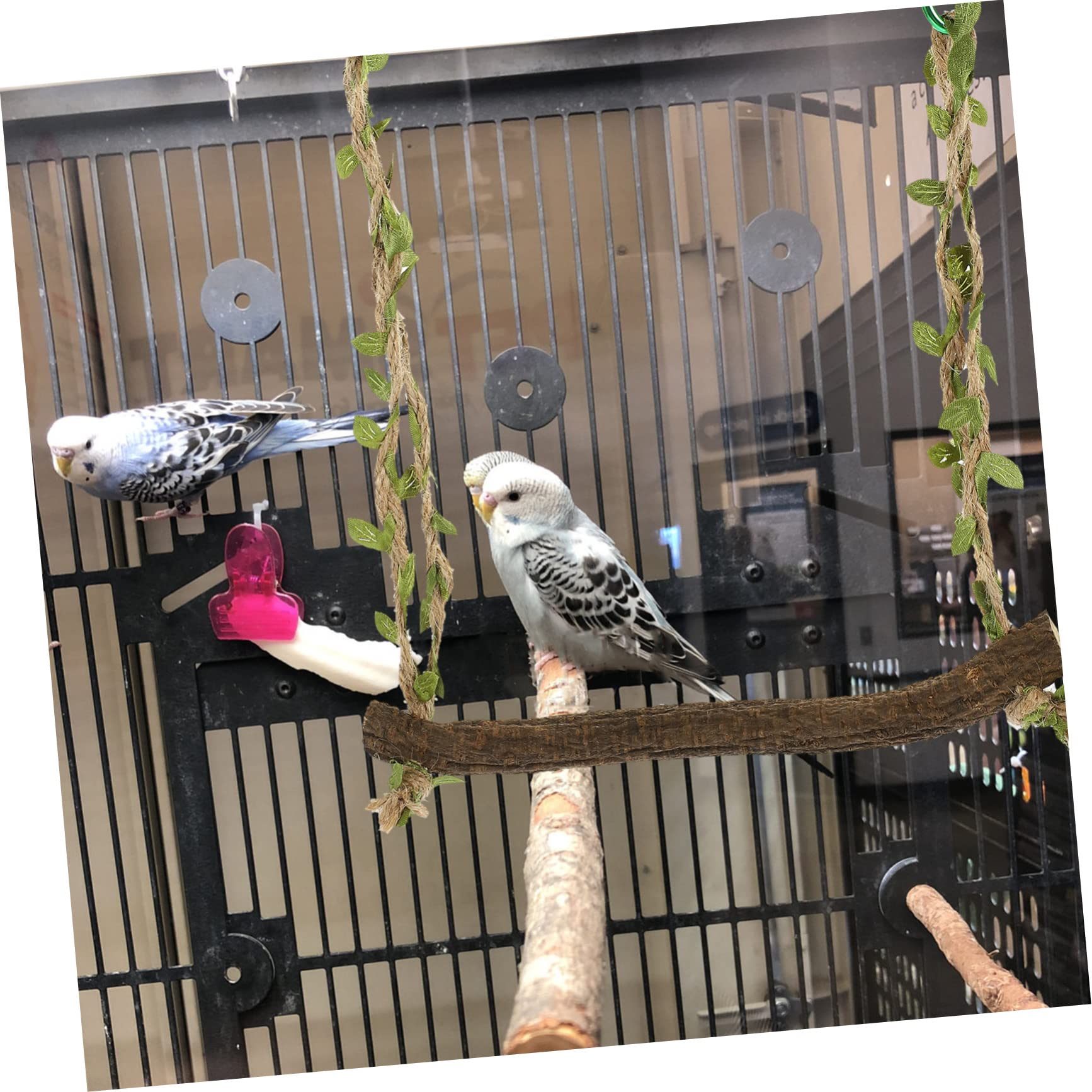BESPORTBLE 5pezzi Swing Per Uccelli Legno Naturale Per Pappagalli e Parrocchetti Giocattolo Appeso Per Intrattenimento e Allenamento Degli Uccelli Domestici Facile Da Installare e Resistente