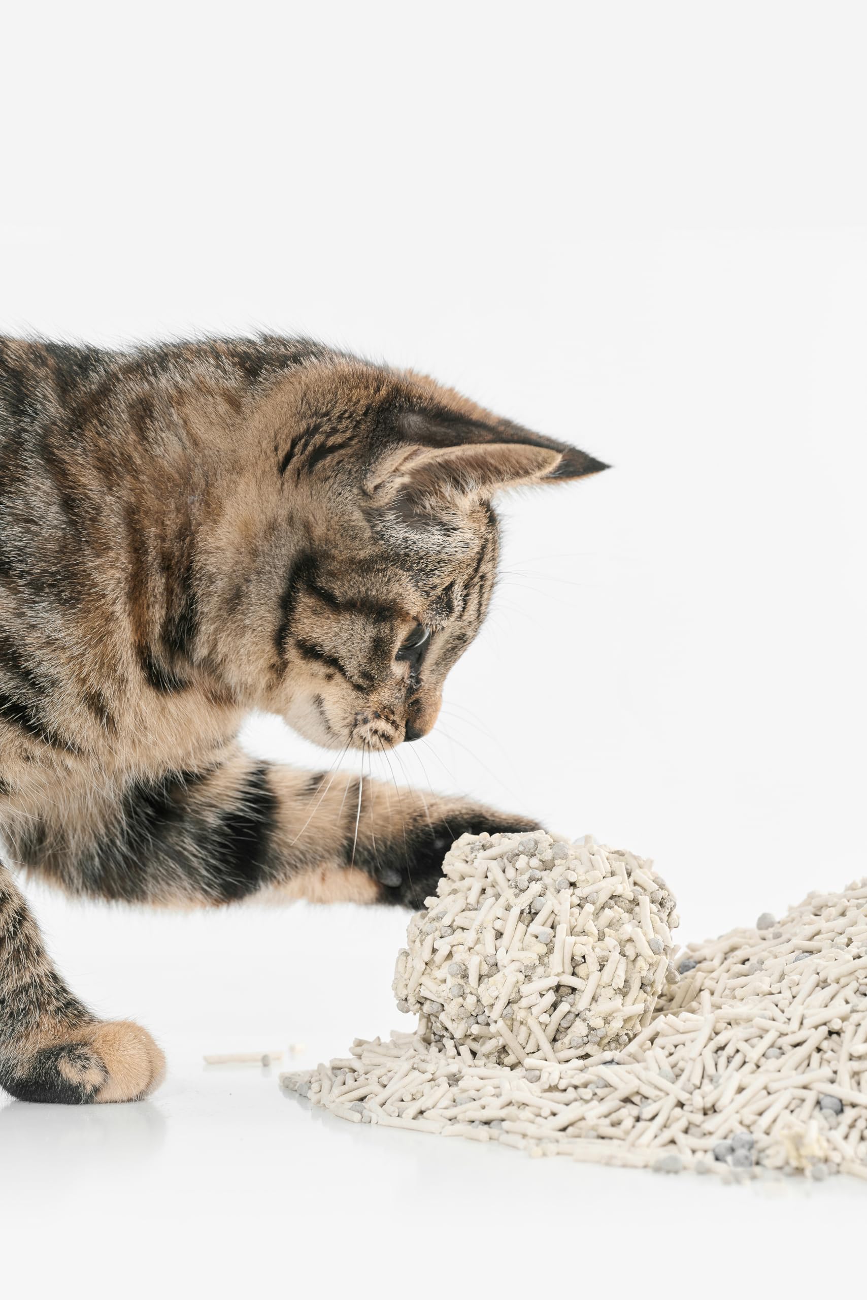 pidan Mezcla de Arena de Tofu para Gatos (Bolsa de 4 x 2,4 kg/6 L) 100% Natural sin Perfume con bentonita, aglutinación Extra Fuerte, Recogida sin Esfuerzo, desechable, Control de olores de Larga