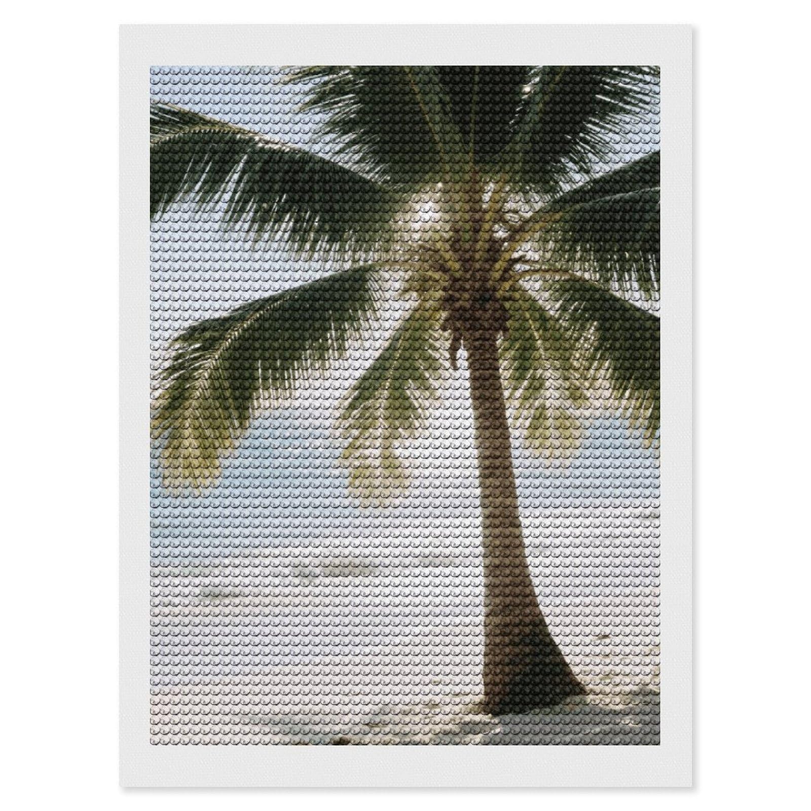 DWVTSLH Tropical Palm Tree Diamond Painting Kits for Adults, Personalized Diamond Photo Art Full Drill, DIY 5D Diamond Art Painting Kits for Beginners, Home Wall Decor 12"x16"