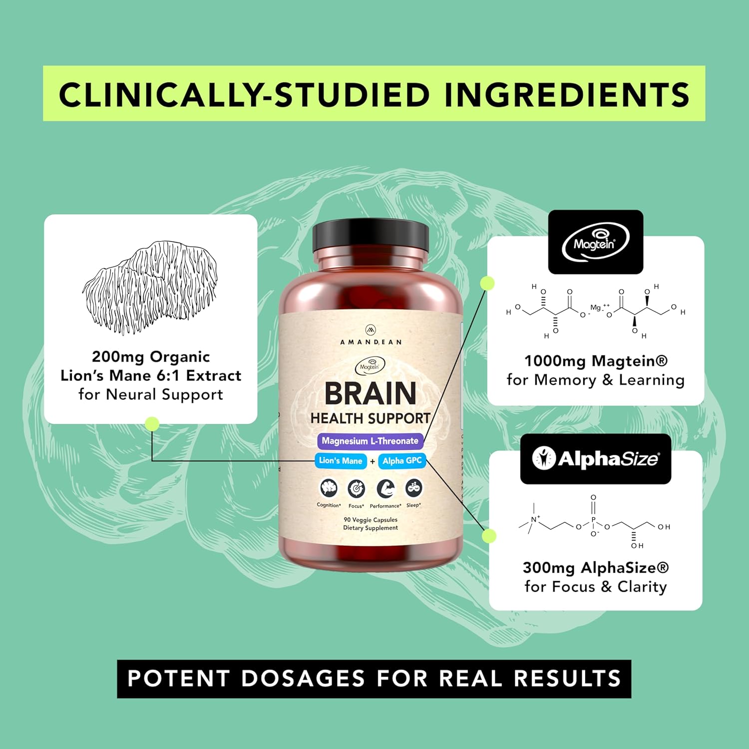 AMANDEAN Nootropic Brain Supplements for Memory and Focus, Improves Mental Clarity and Cognitive Function, Magnesium L-Threonate (Magtein), Lions Mane and Alpha GPC - (90 Veggie Capsules) - Image 4