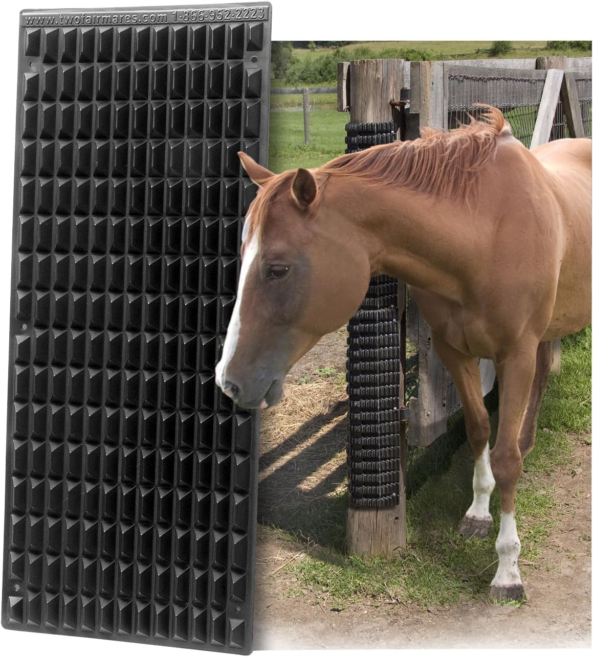 The Equine Scratcher