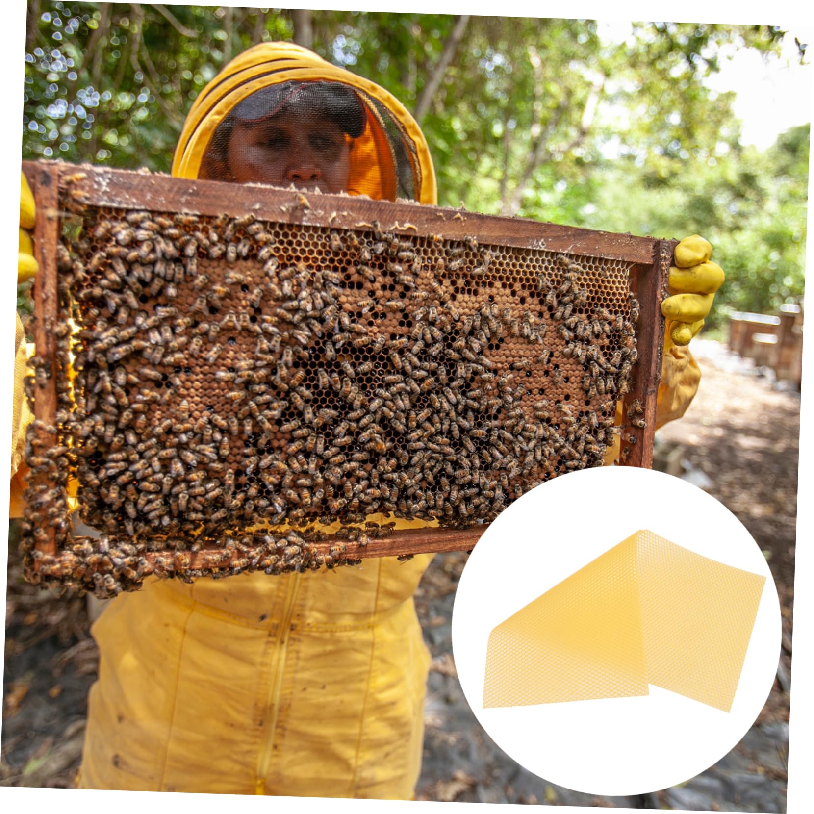 Abaodam 30 Láminas de Base de Colmena de Cera de Abeja Amarilla Suavidad Moderada y Alta Producción para Fabricación de Velas y Barnizado de Muebles