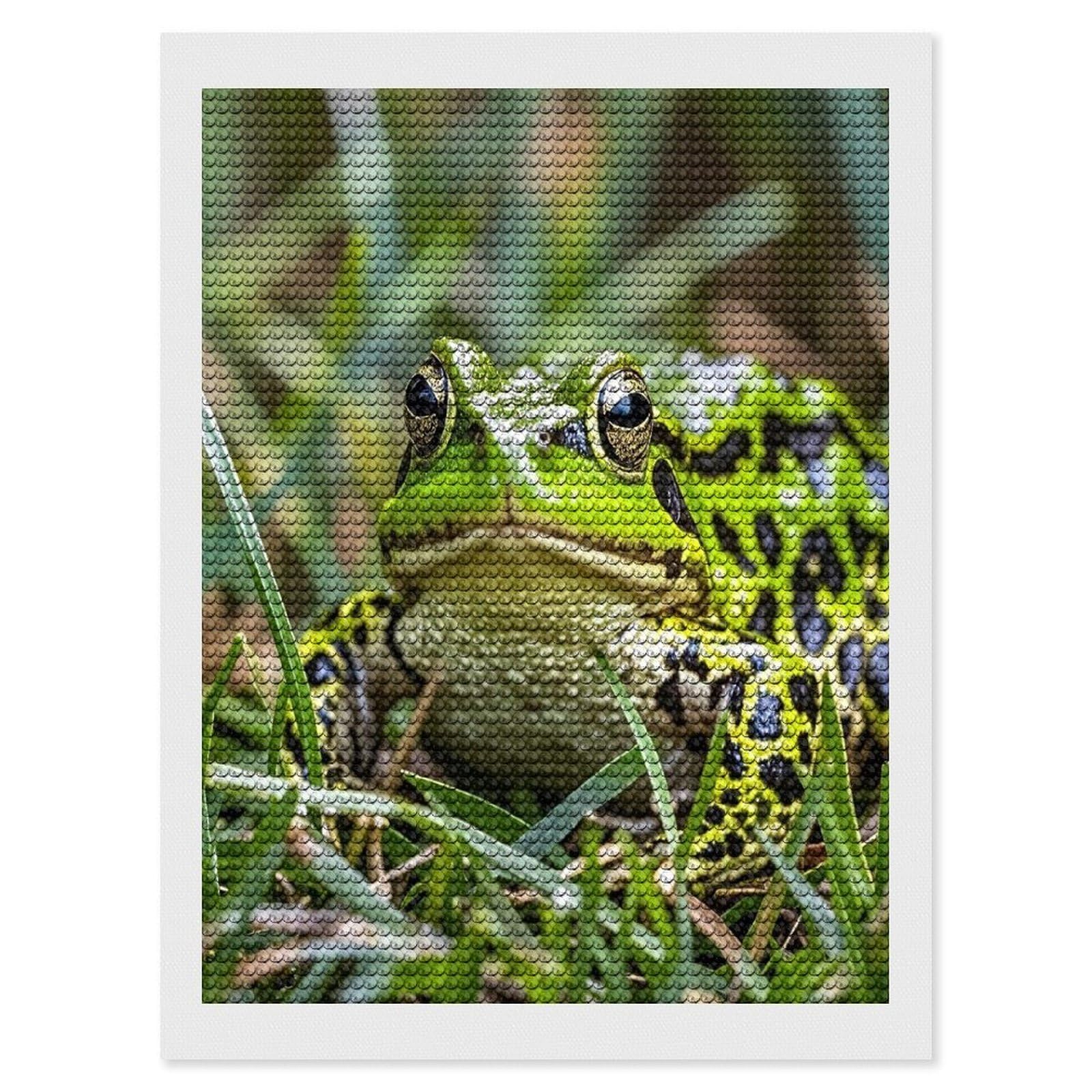 FekiLoot Frog Diamond Painting Kits for Adults Full Round Drill Diamond Art Kits for Beginners 5D DIY Diamond Dots Paintings Diamonds Pictures Gem Art Home Wall Decor 12"x16"