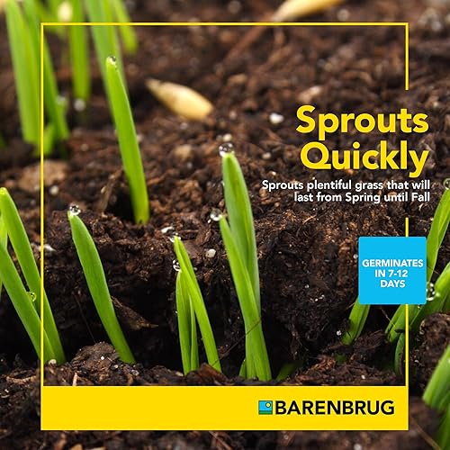 Miniatura 10 de Barenbrug Wonderlawn Shady Grass Seed Mix para el cuidado del césped y el paisajismo, bolsa de 10 libras