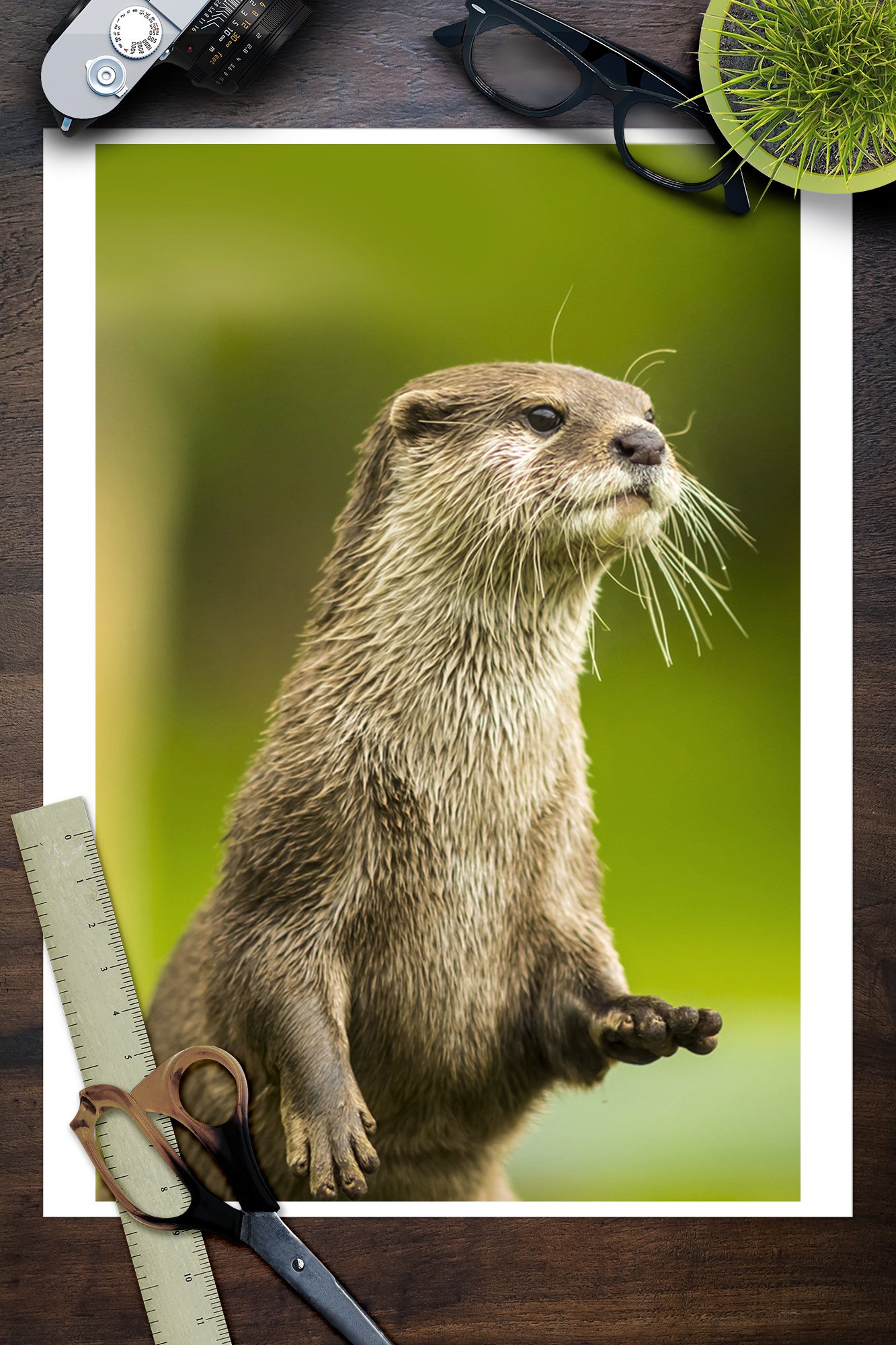 Amazon.co.jp: Lantern Press 壁装飾トラベルポスター 立っている