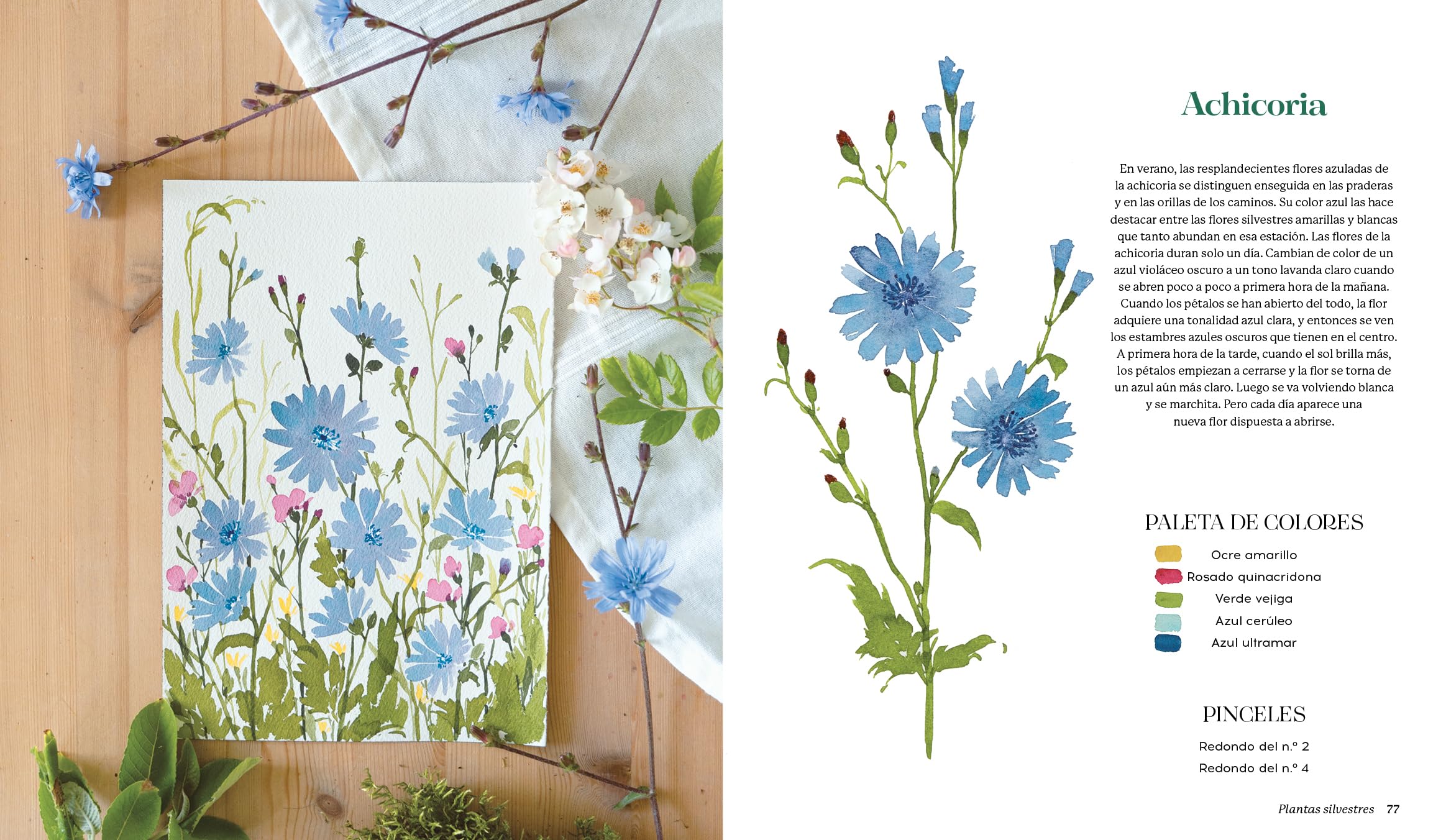 Flores silvestres a la acuarela: Manual de pintura botánica para principiantes (DIBUJO, ILUSTRACION Y ACUARELA)
