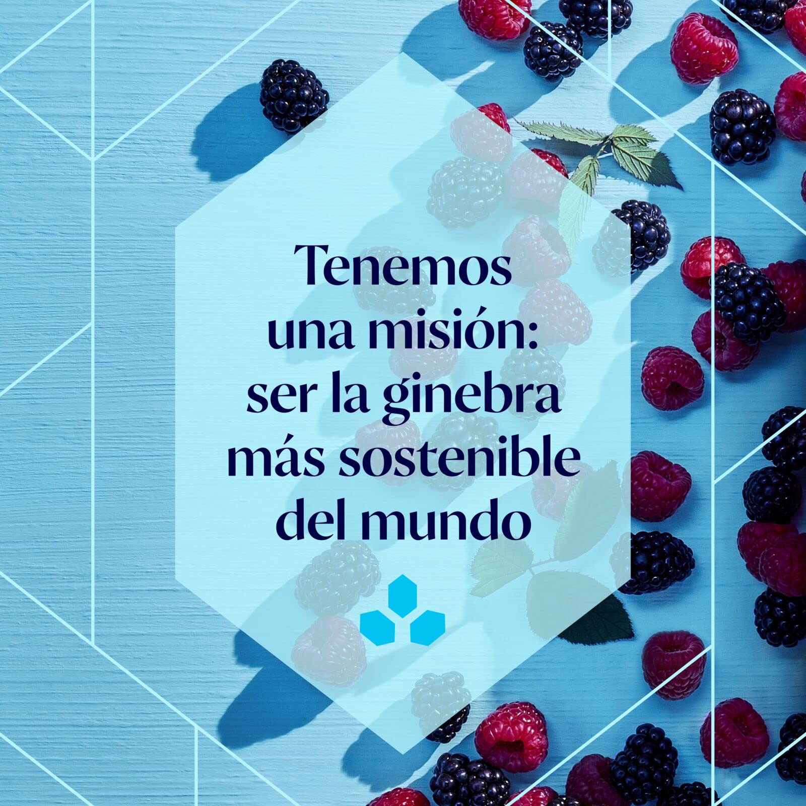 Bombay Bramble Distilled Premium, 37,5% vol., 70 cl / 700 ml, Blackberry & Rasberry Flavoured Gin, Ginebra de sabor y color 100% naturales procedentes de moras y frambuesas recién recogidas