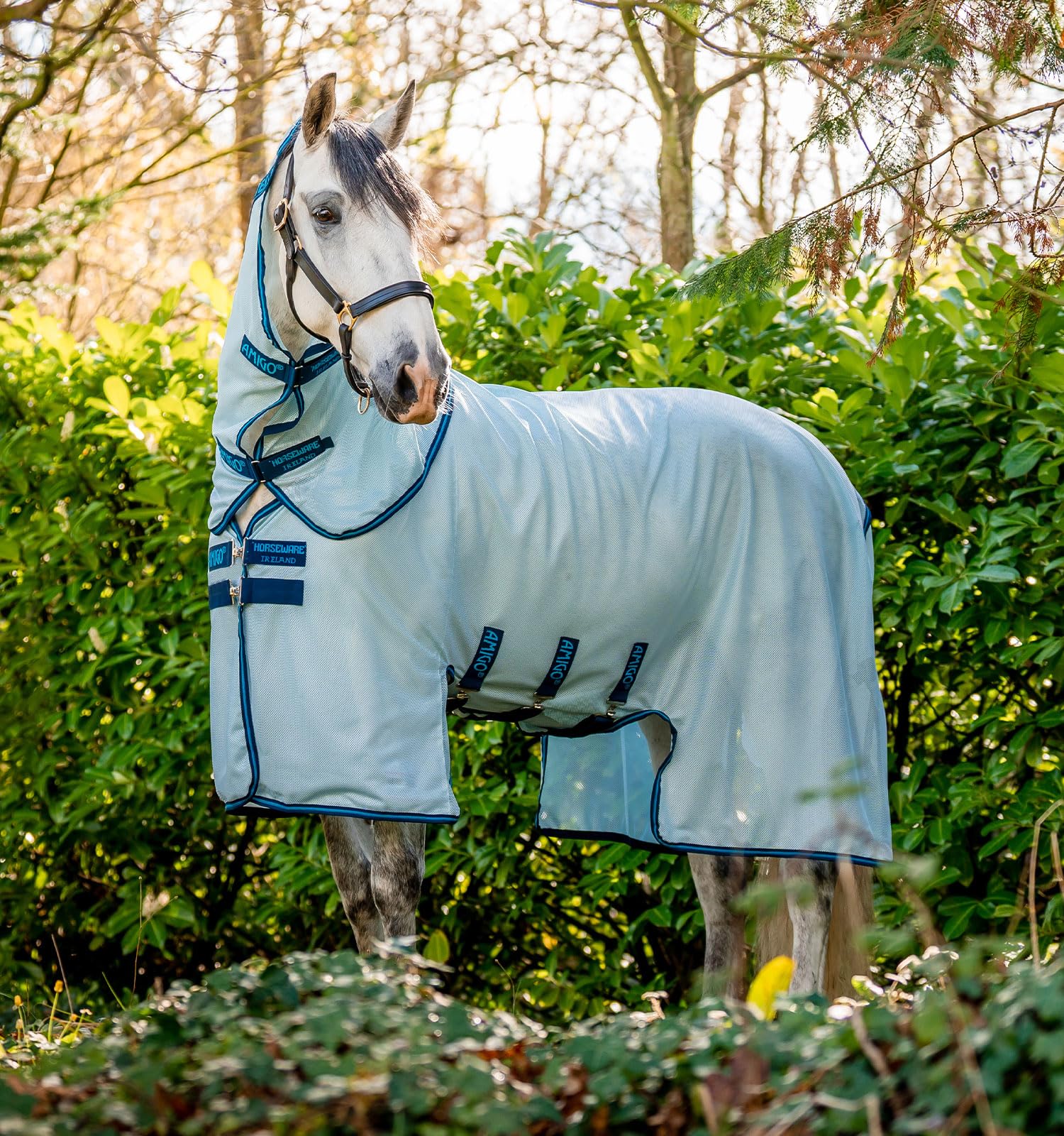 Horseware Ireland Amigo Bug Buster Fly Sheet 5'9" Azure Blue/Navy & Electric Blue
