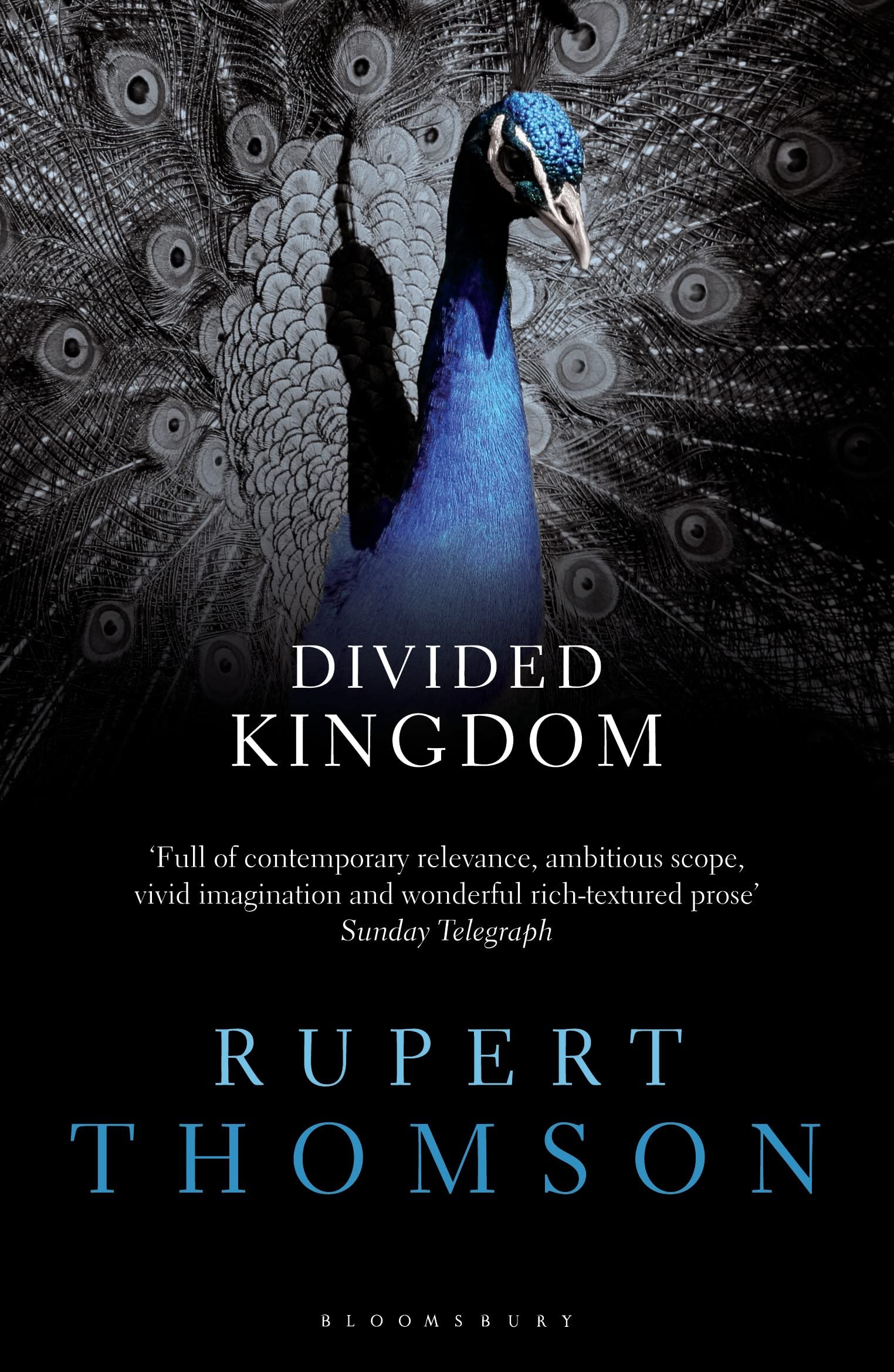 Divided Kingdom by Rupert Thomson - 9781408833124
