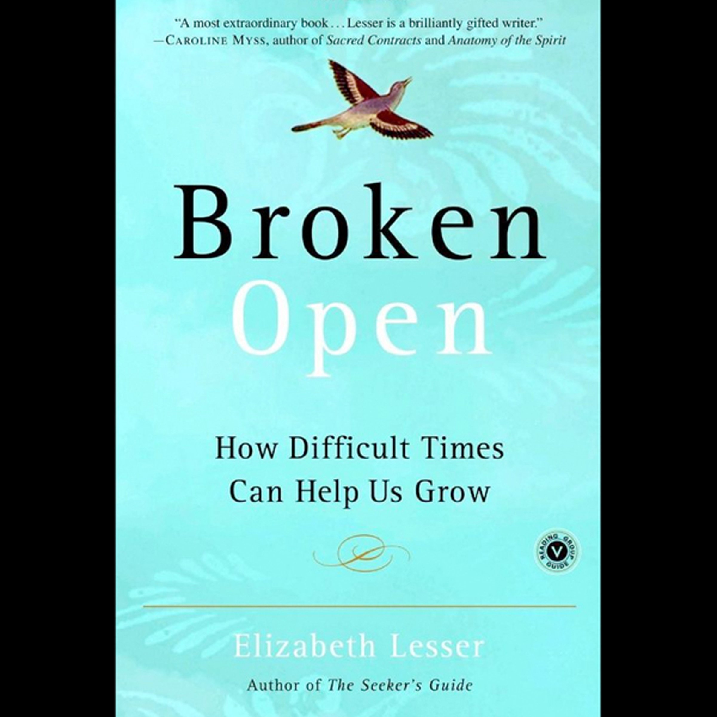 Cover art for Broken Open