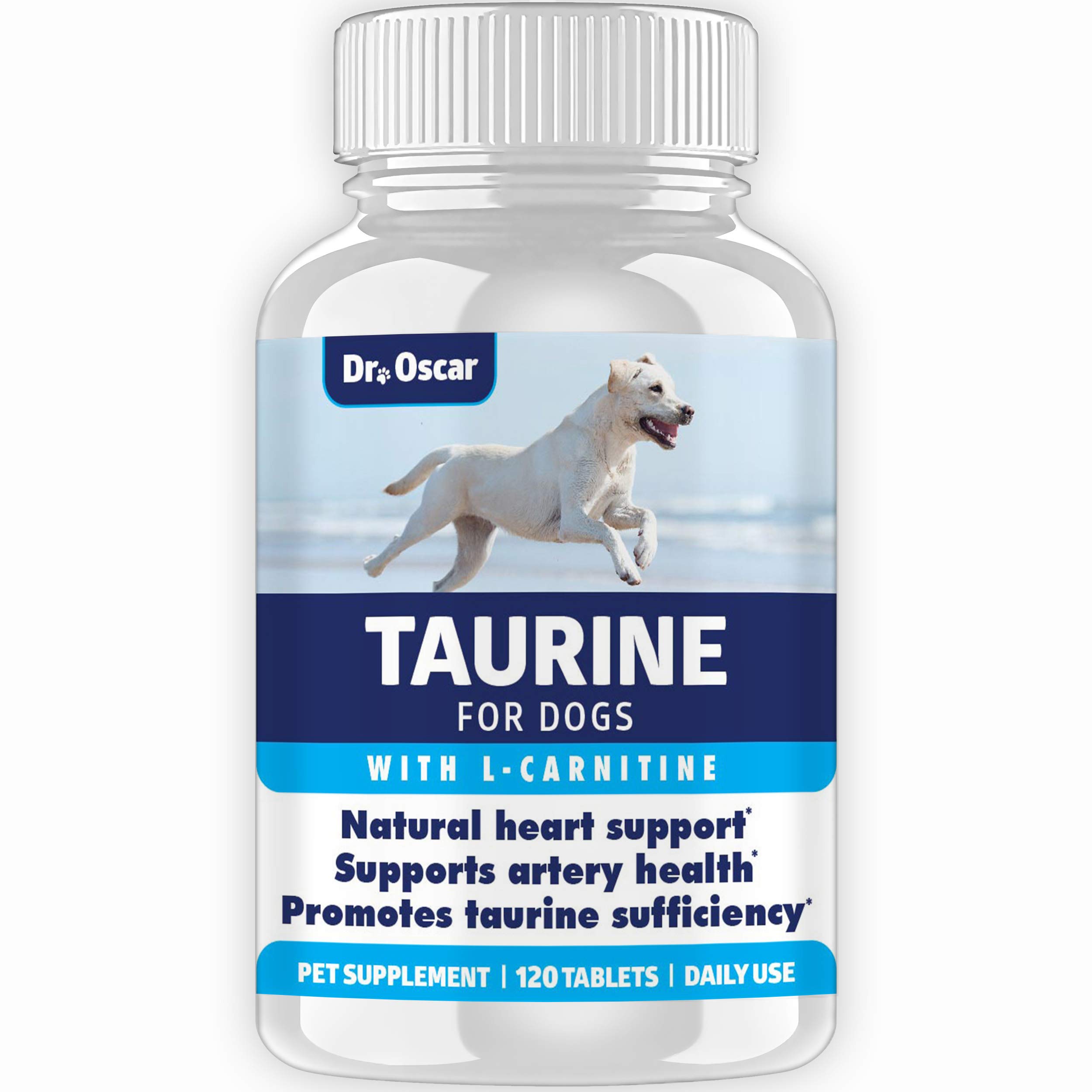 dcm taurine deficiency