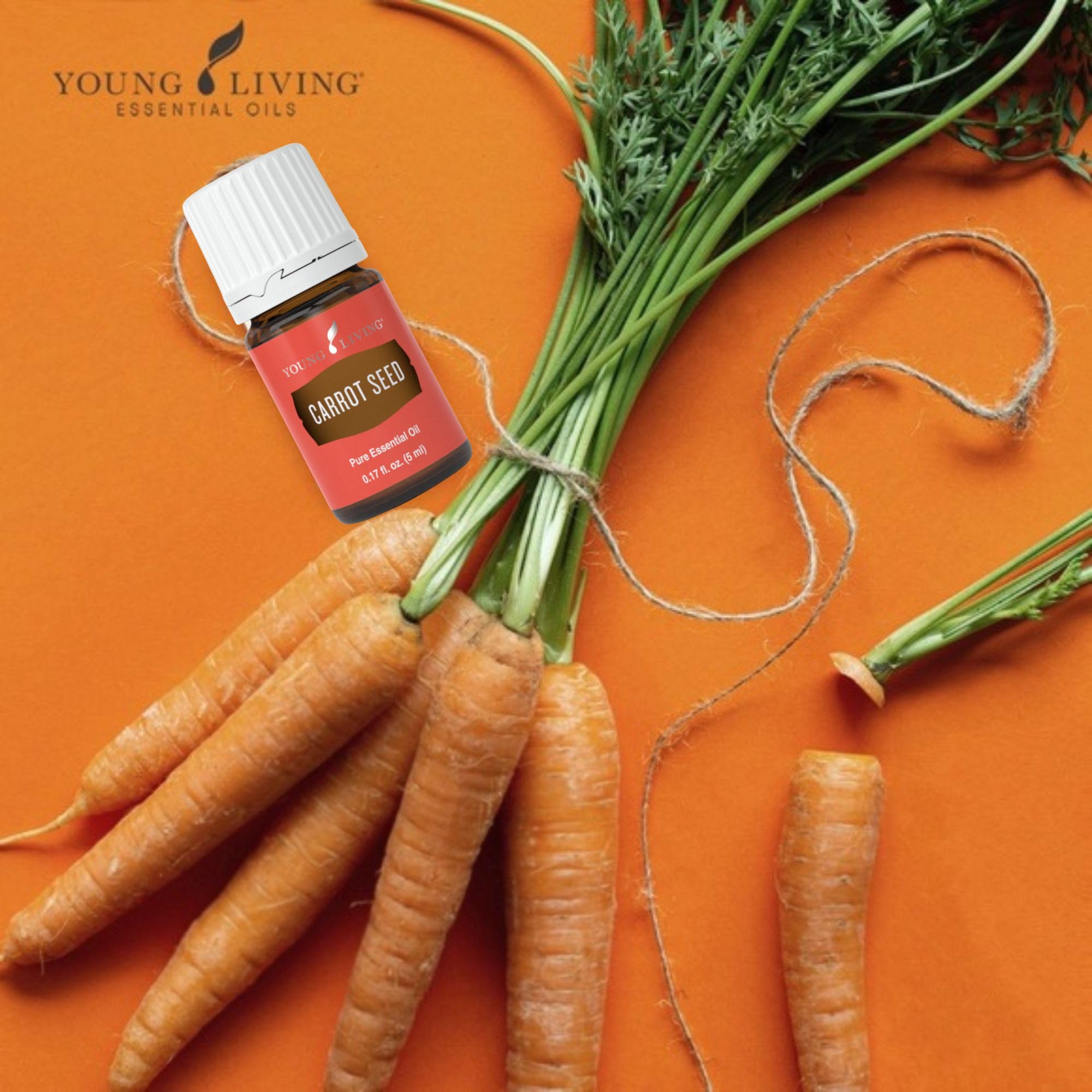 Amazon.co.jp: キャロットシード エッセンシャルオイル 5ml : ドラッグ