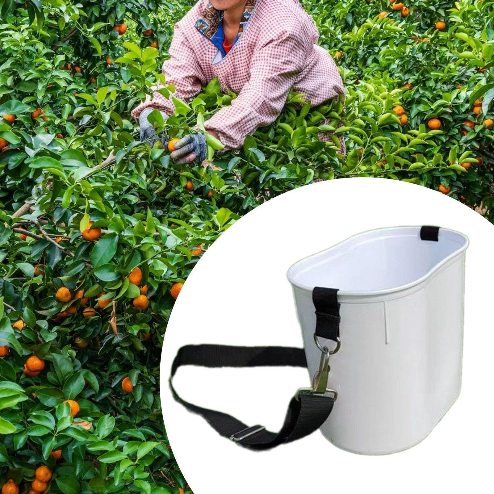 F Fityle Secchio per la raccolta della frutta con tracolla regolabile, contenitore per la raccolta di al parco