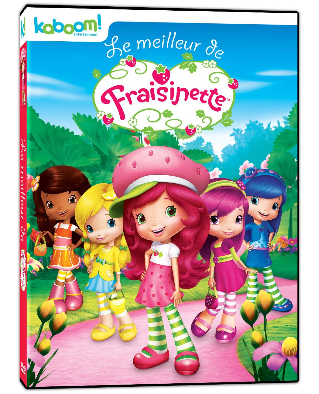 Meilleur De Fraisinette, Le (Version française) [DVD]