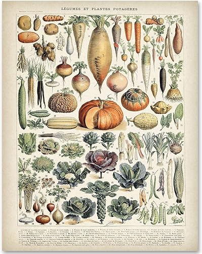 Miniatura 1 de Legumbres antiguas y cultivos de raíces tradicionales de 11 x 14 pulgadas, impresión sin marco, arte de pared botánico vintage y temático de
