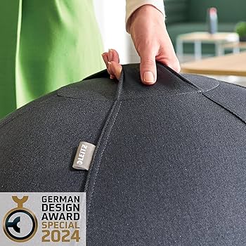 Leitz Ergo Active Sitting Ball With Stopper Function, Ergonomically Designed Desk Chair Alternative, 55cm Diameter, Includes Fabric Ball Cover, Hand