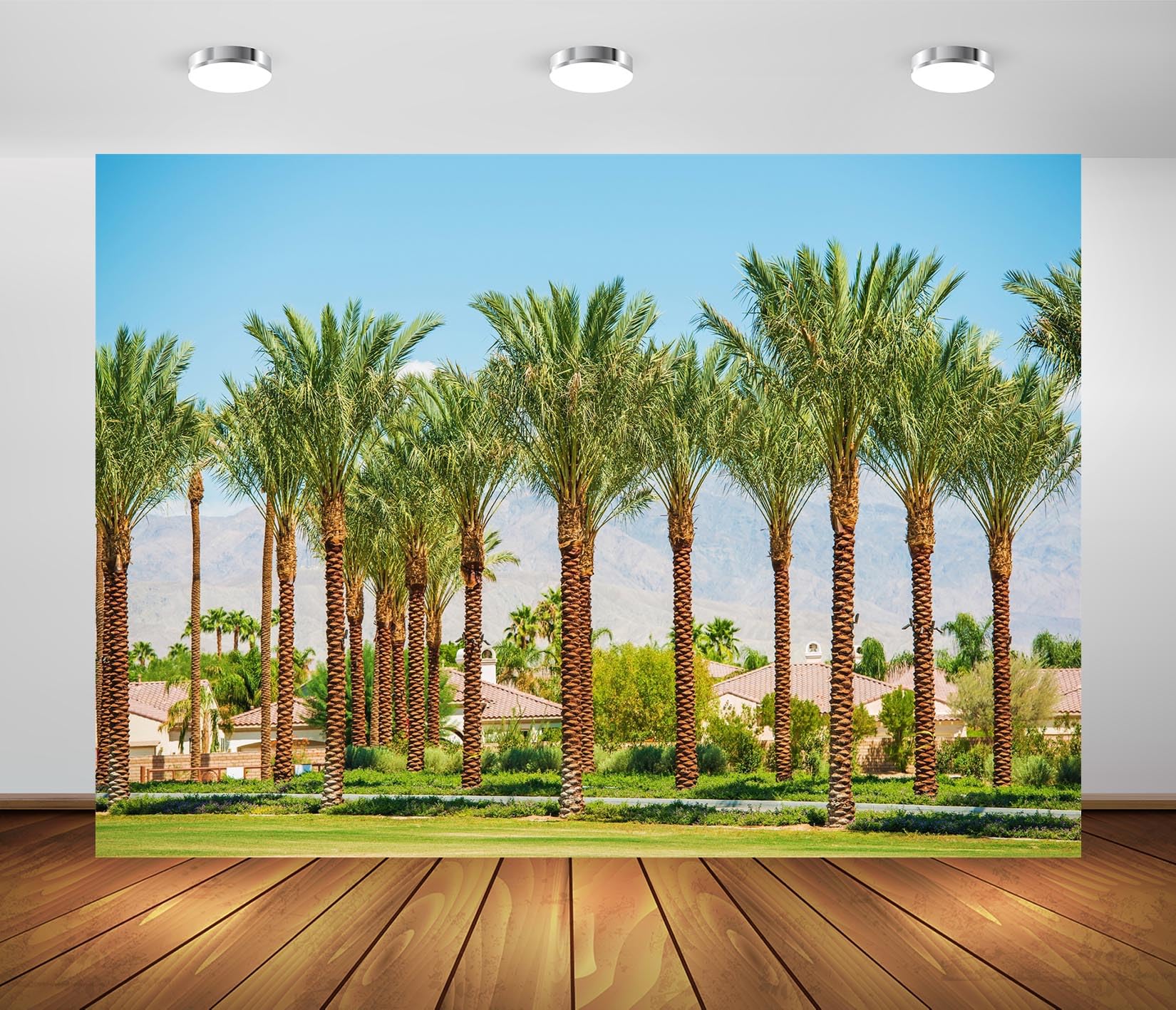 BELECO 3x2.5m Telo sfondo palme valle California | Strade case Palm Springs cielo blu palme dattero sfondo decorazione festa Coachella accessori foto