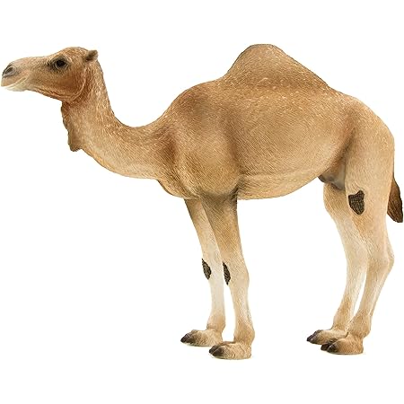 Amazon フィギュア Mojo Animalplanet アニマルプラネット ラクダ フィギュア ドール 通販