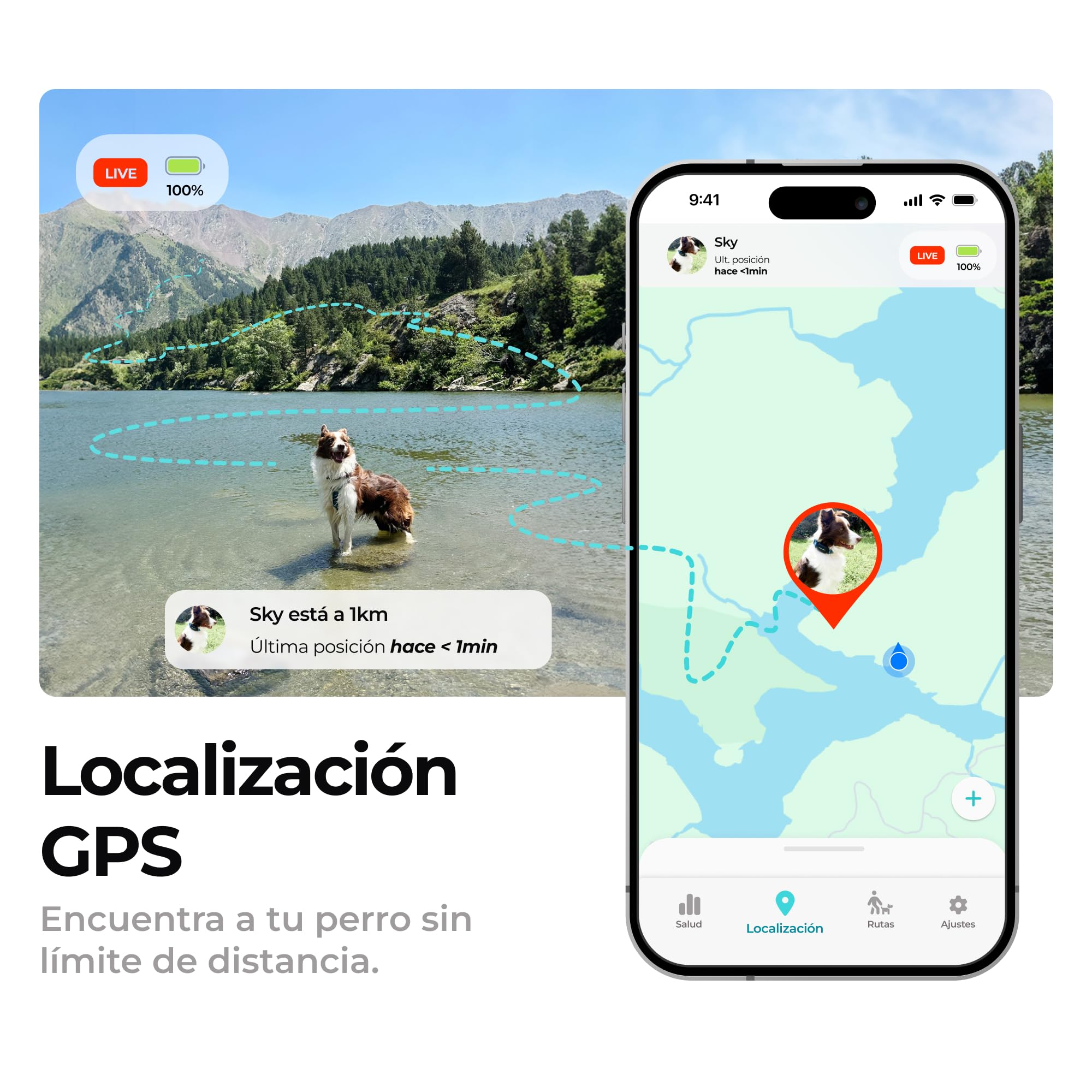 Series 2 - Collar GPS para Perros Control vía App - Localización Internacional en Tiempo Real - Salud Seguimiento - 3 Zonas Seguras - Hecho en España
