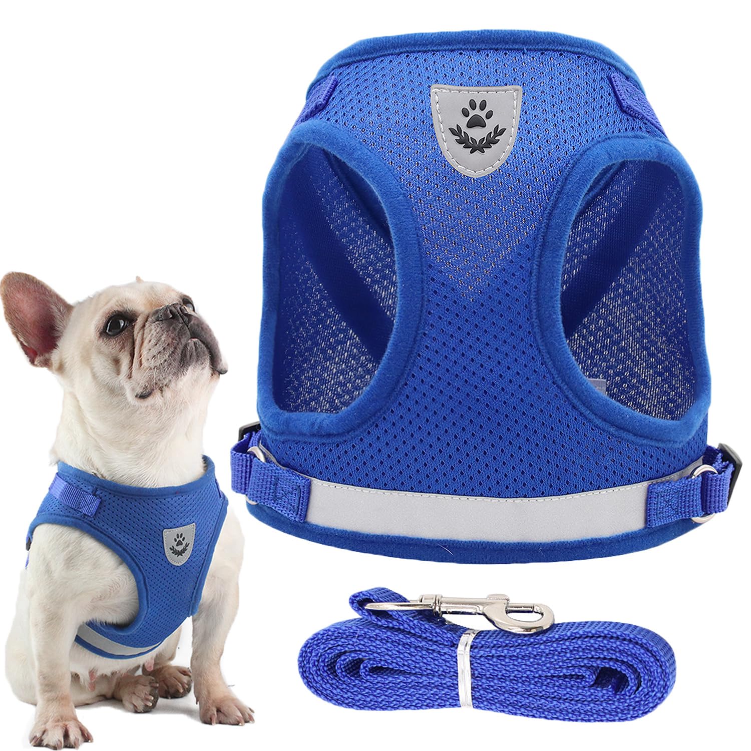 JOOTUEPO Dog Harness and Leash Set, Step-in Small Dog Harness