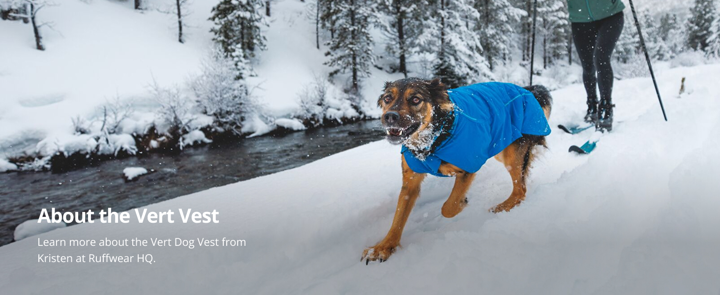 Amazon.com : Ruffwear, Vert Dog Winter Jacket, Aurora Teal, XX