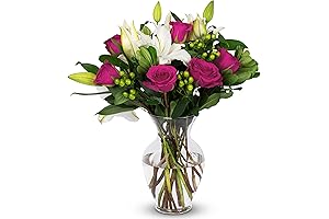 BENCHMARK BOUQUETS - Pink Elegance (Glass Vase Included), Next-Day Delivery, Fresh Flowers...