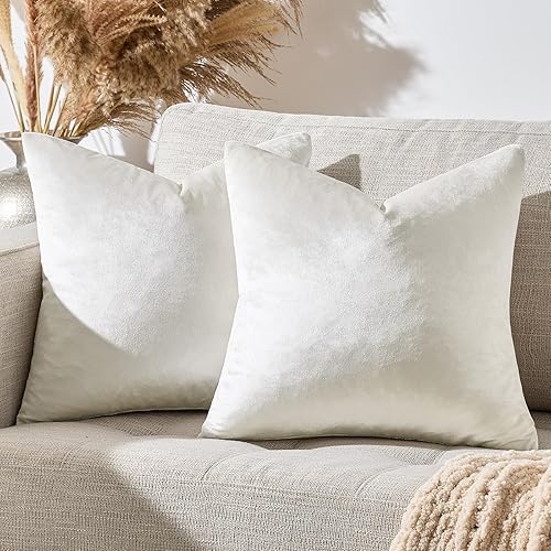 Vista 225 de GIGIZAZA - Juego de 2 fundas de almohada decorativas de 18 x 18 pulgadas, fundas de almohada cuadradas de terciopelo verde azulado pavo real