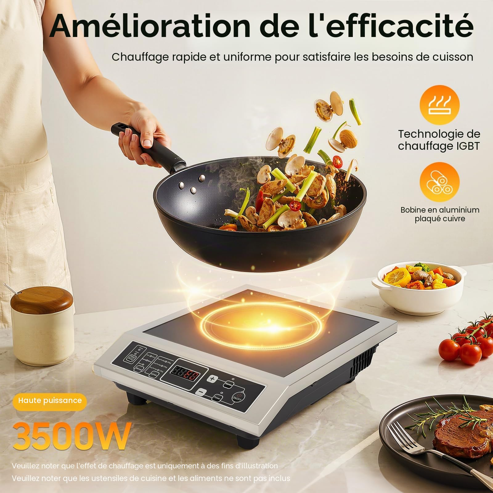Plaque de cuisson à induction Fliury, 3500 W, 10 niveaux de température (176-572 °F), grande capacité de charge 50 kg, boîtier acier inoxydable