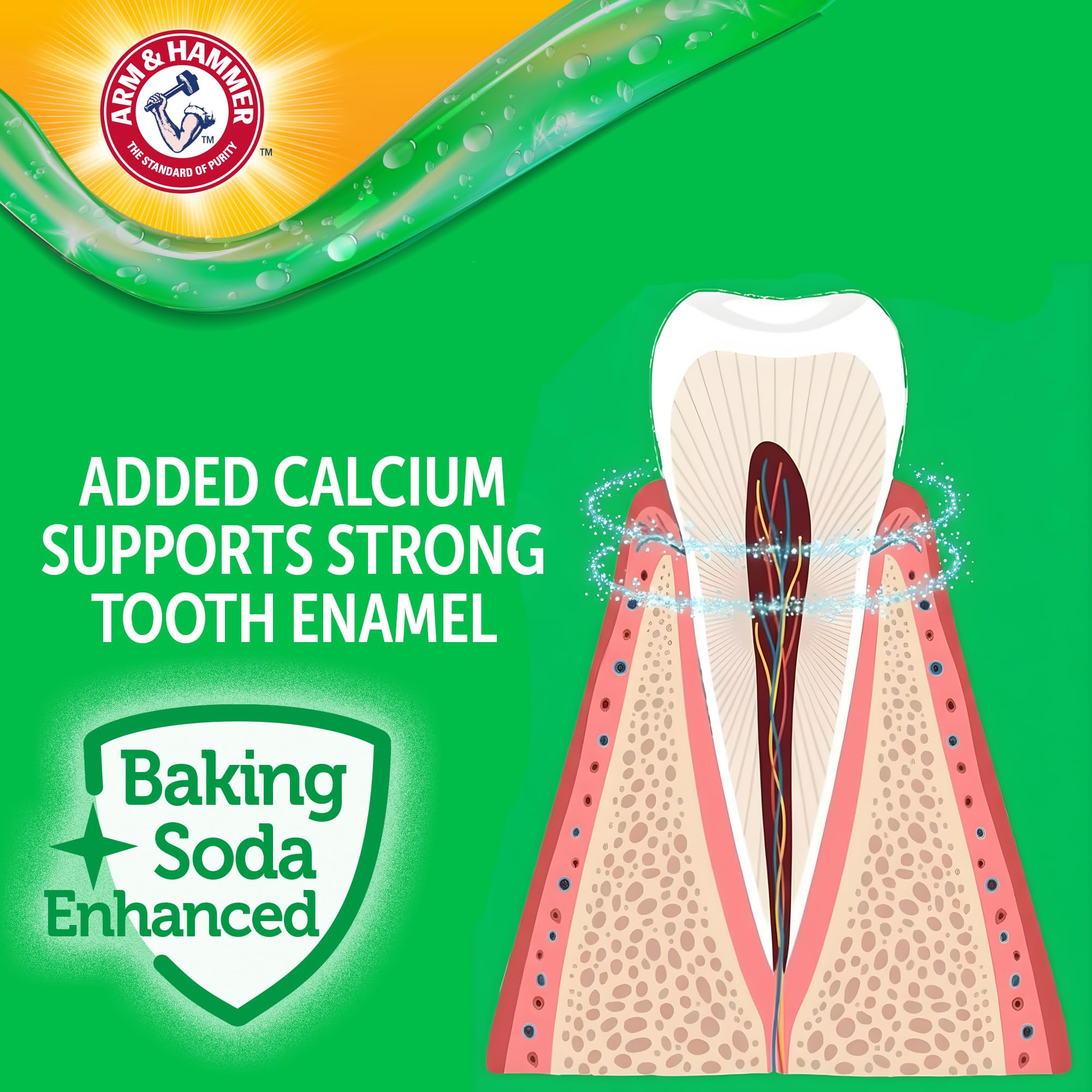 Arm & Hammer Complete Care Dental Gel, Gel-Style Dog Toothpaste - Fresh Breath, Tartar Control, Gentle on Enamel, Fluoride Free - Baking Soda Enhanced Dental Dog Supplies, Chicken Flavor, 2.5oz - image 5